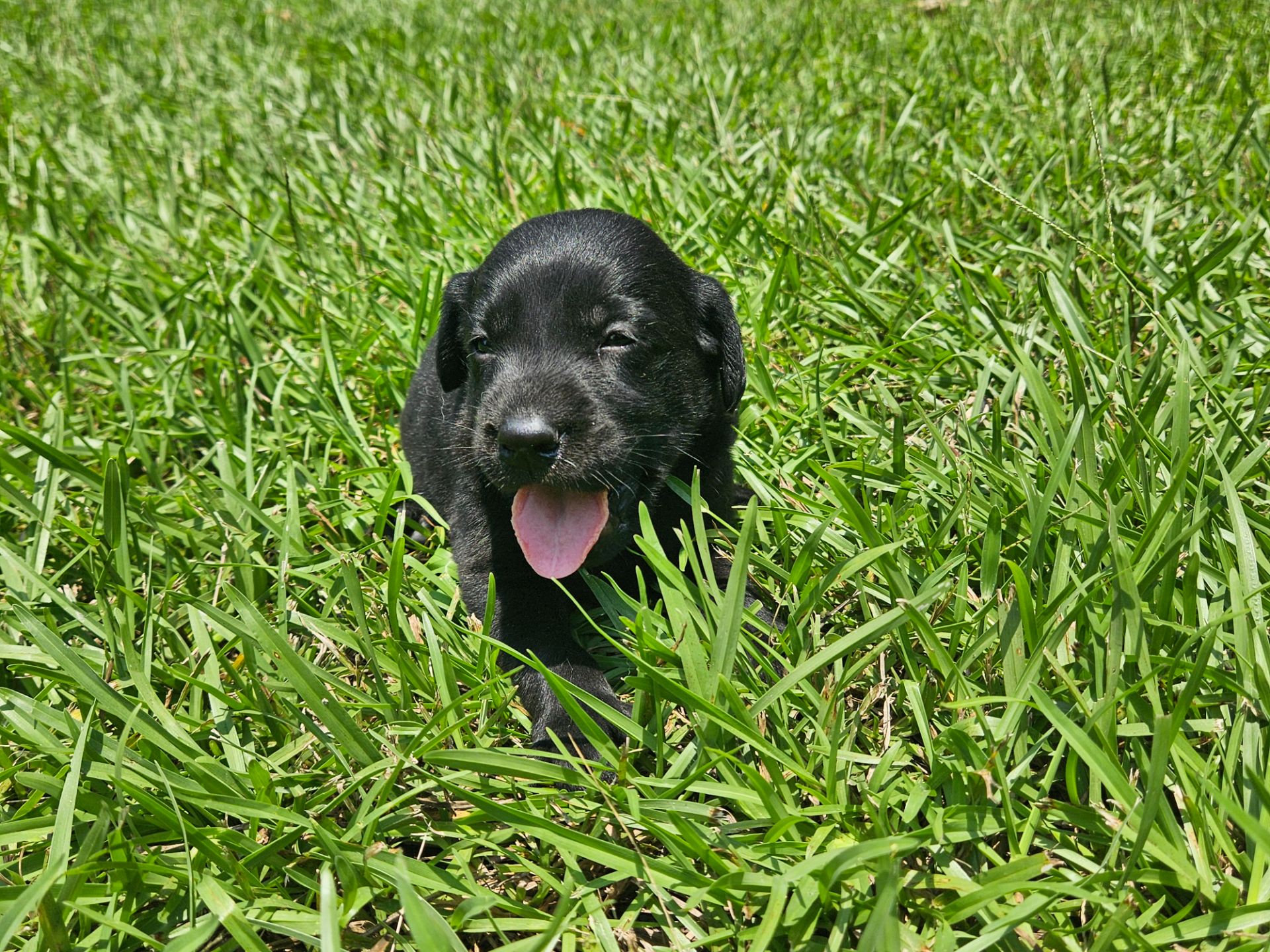 Toby 26 photo 5