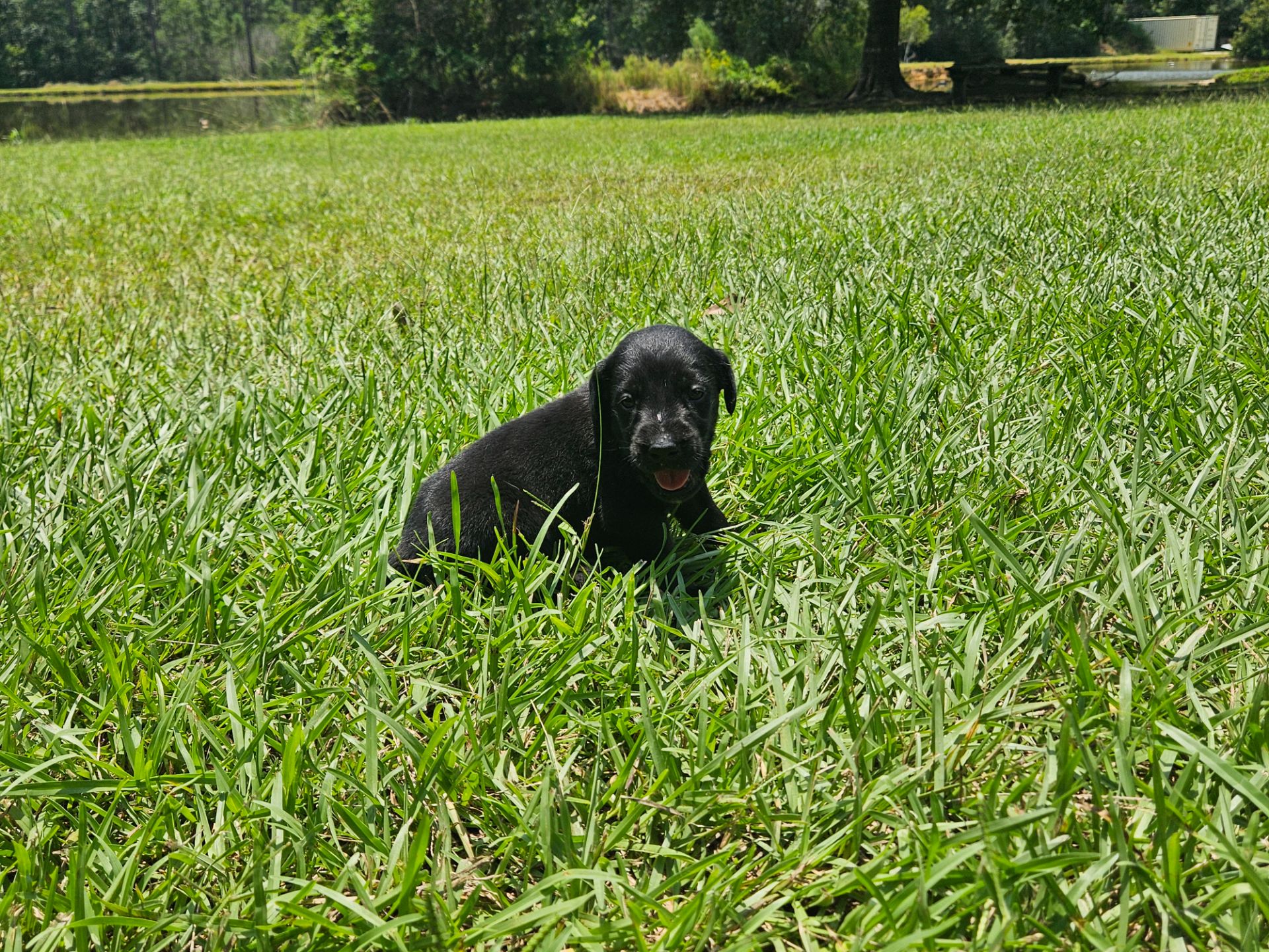 Baxter 26 photo 2
