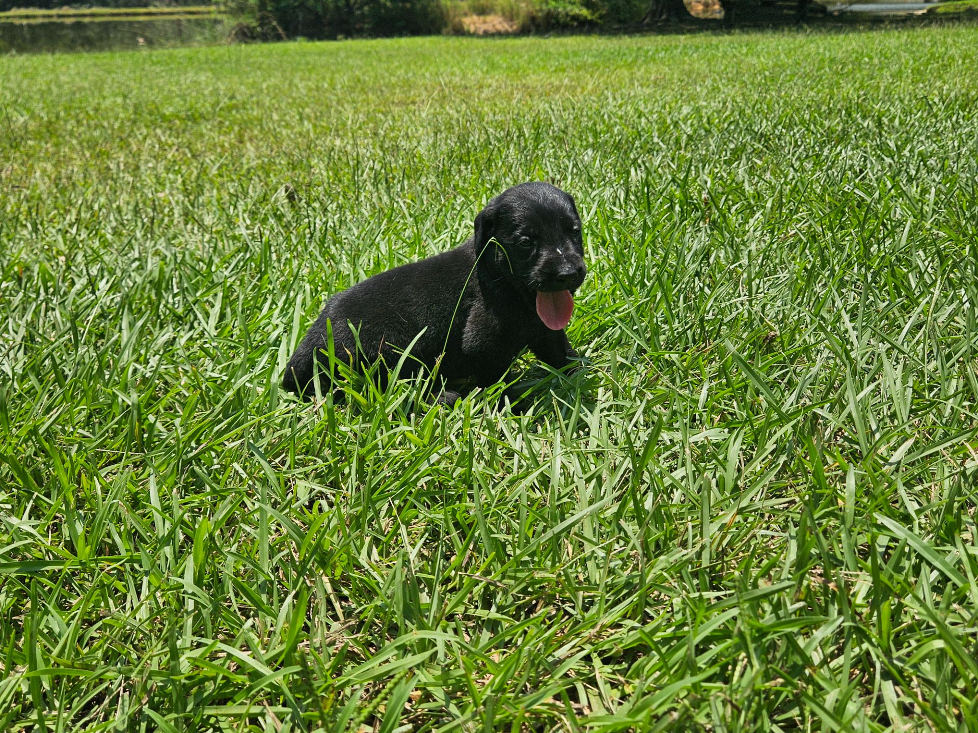 Baxter 26 photo 3