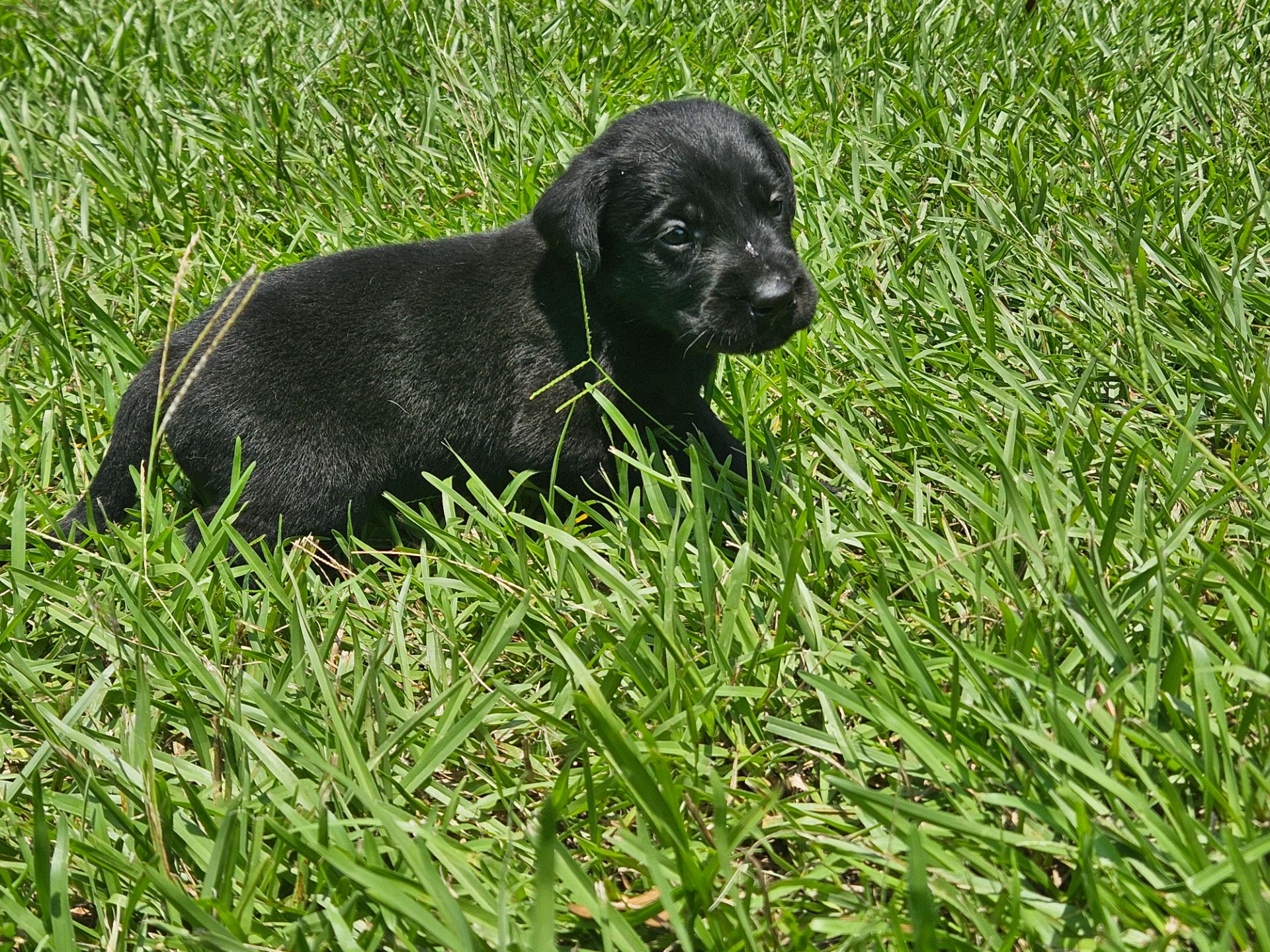 Baxter 26 photo 4