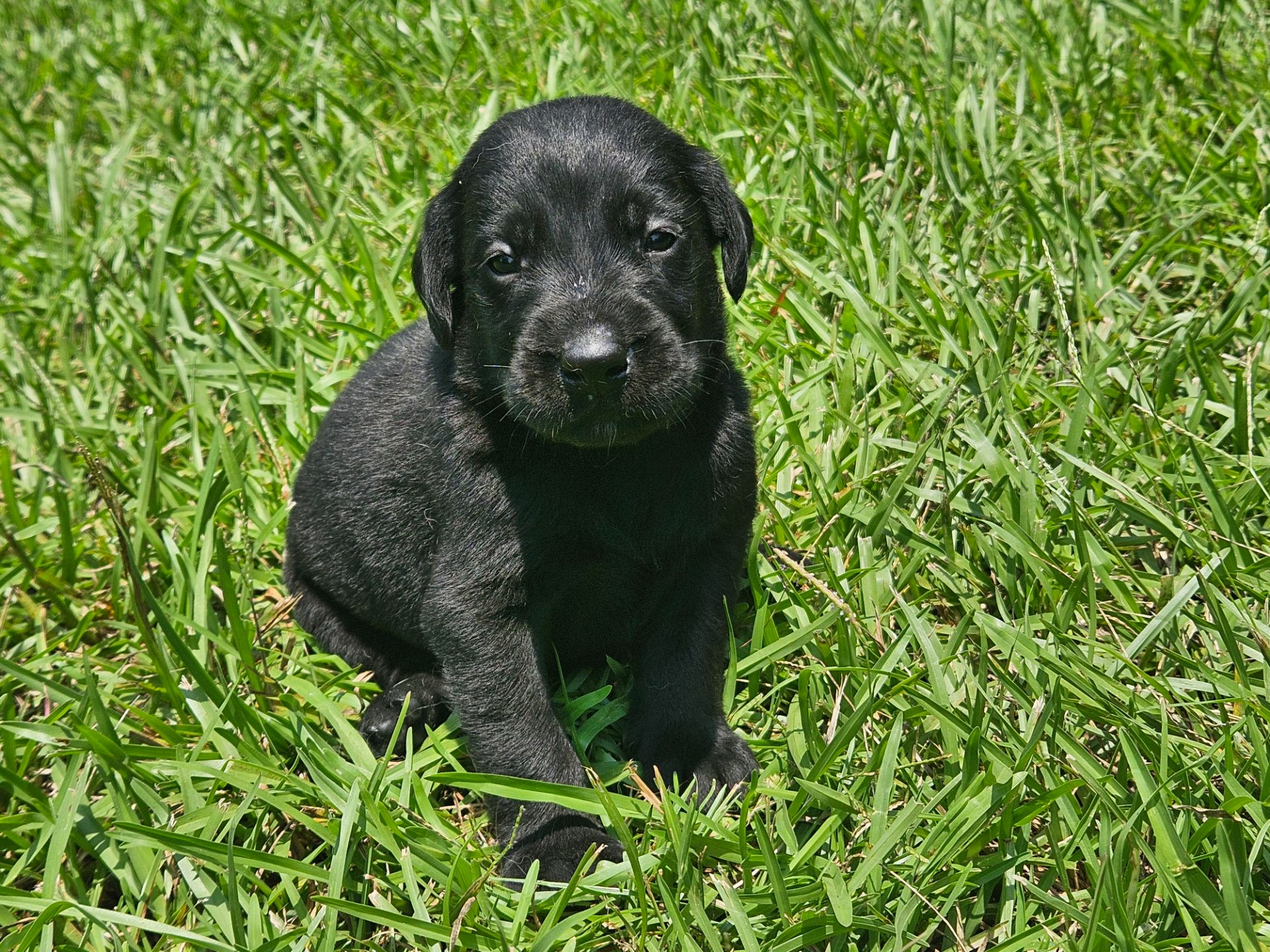 Baxter 26 photo 5