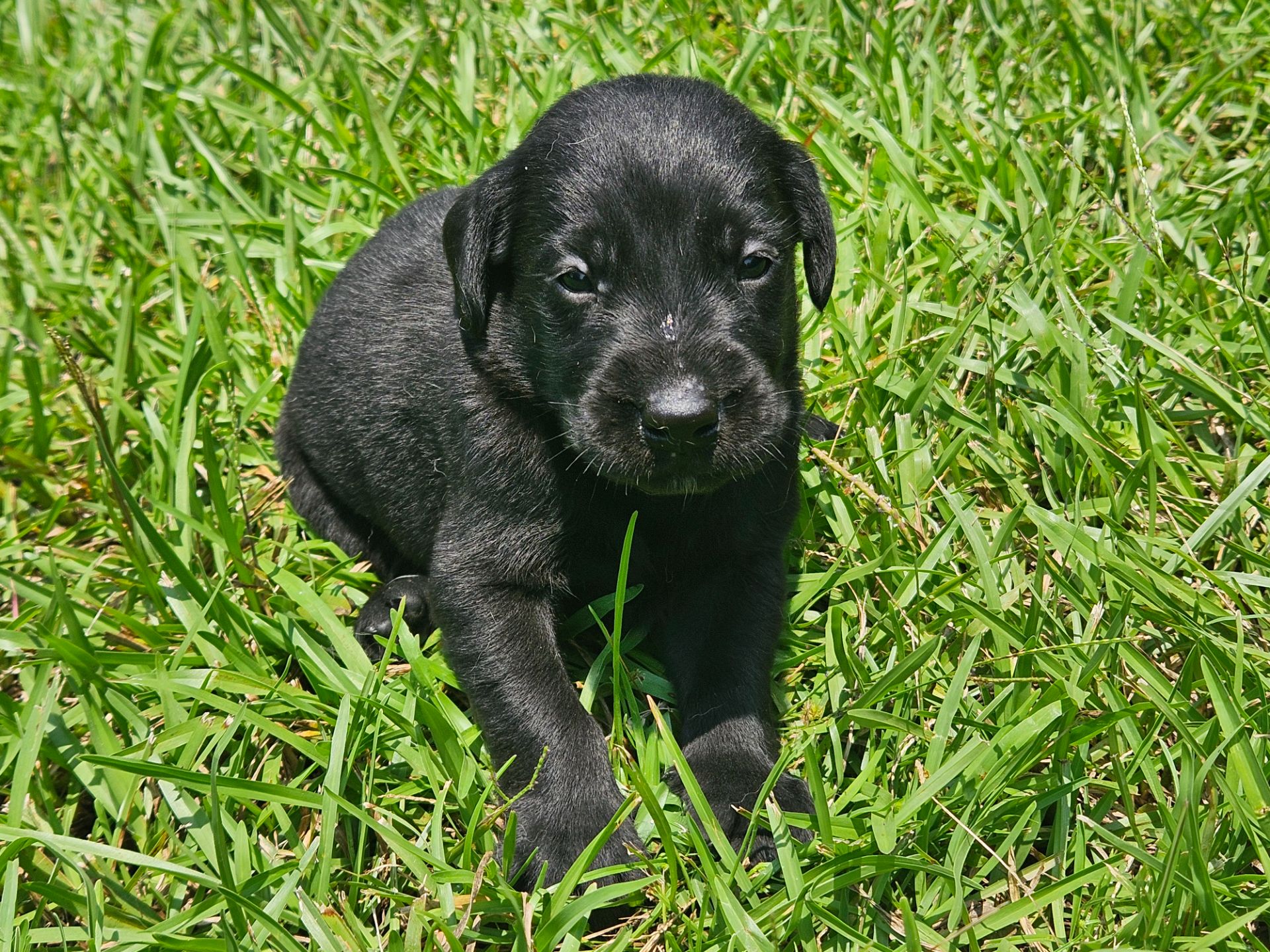 Baxter 26 photo 6