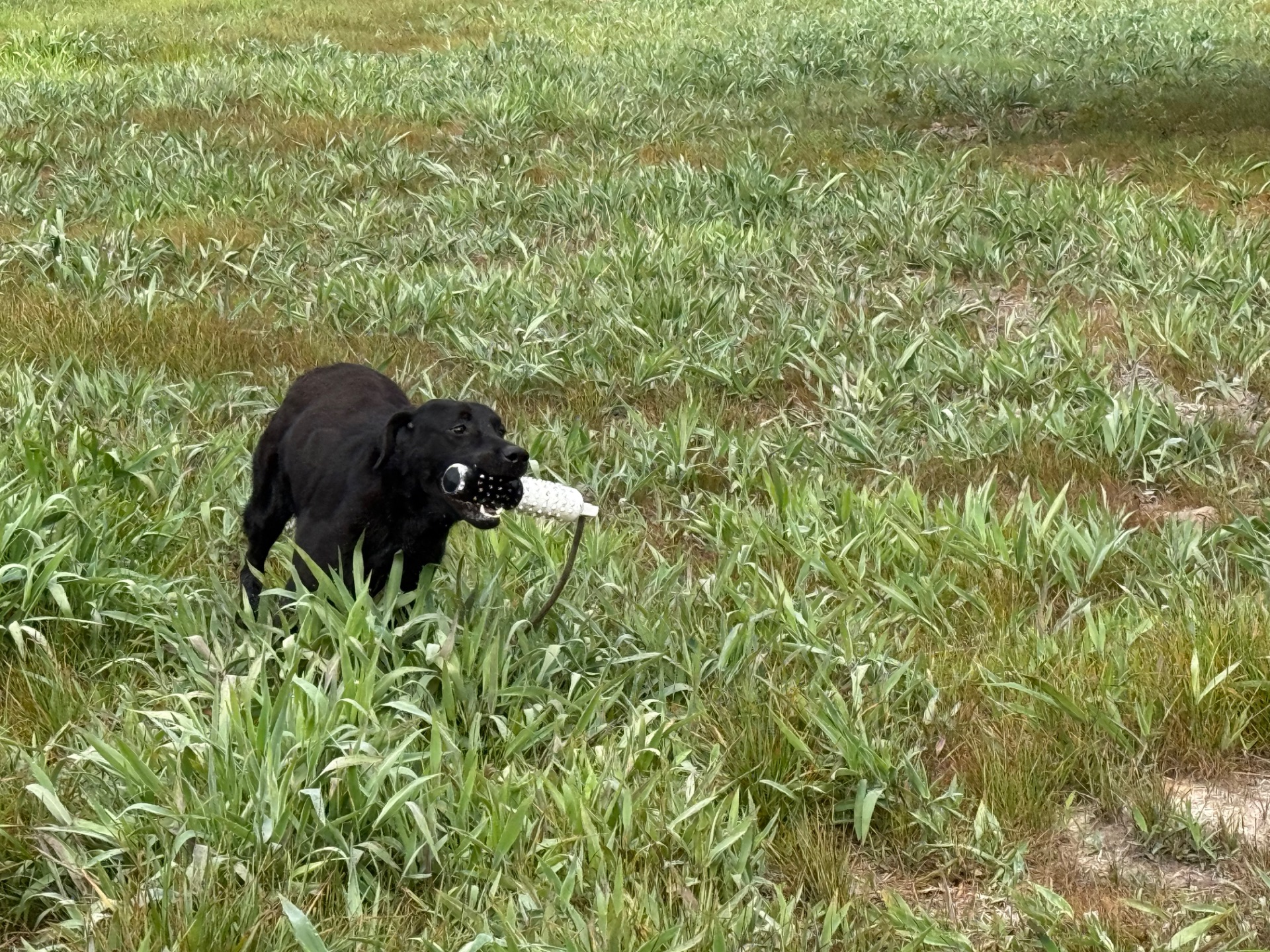 Waylon M. 25 photo 4