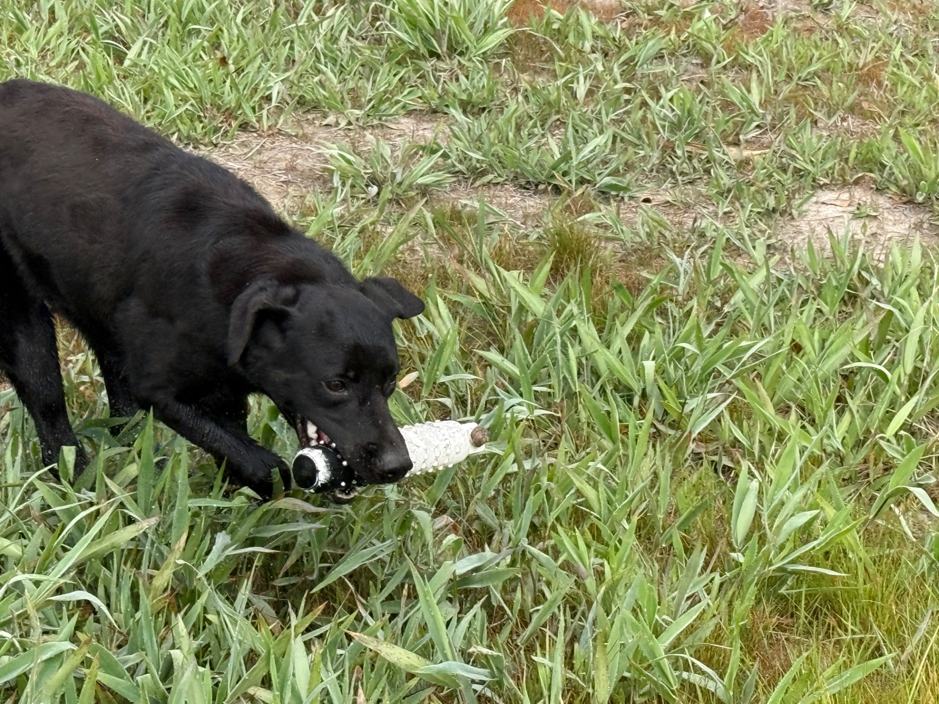 Waylon M. 25 photo 5