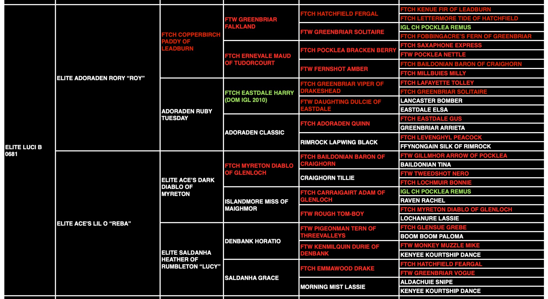Luci B "Ace's Luci of Lil O Reba" pedigree