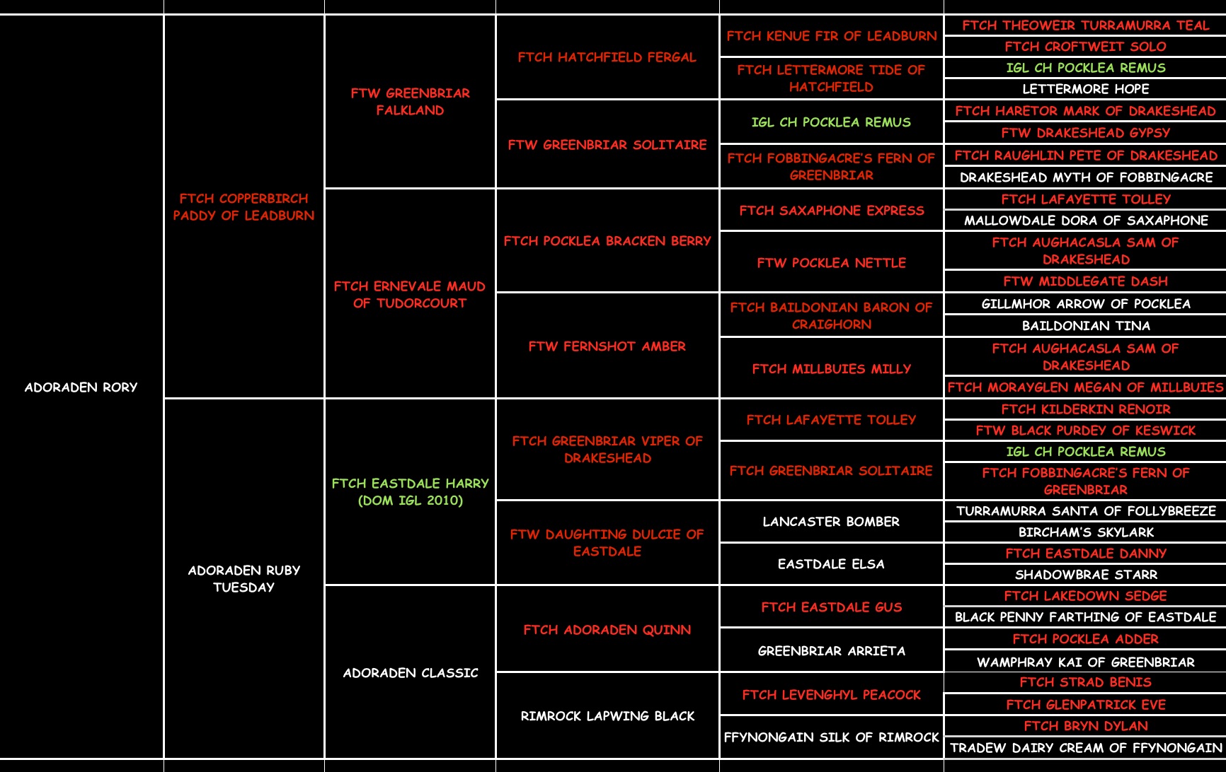 Roy T "ELITE ADORADEN RORY OF SHIMNAVALE" pedigree