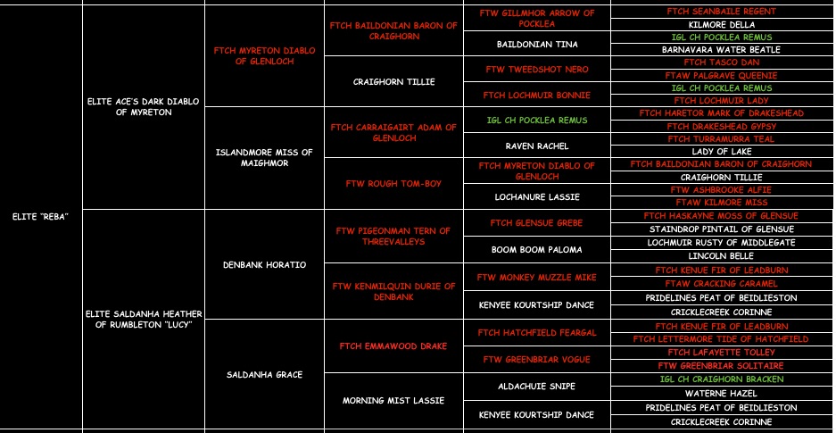 Reba "ELITE ACES LIL O REBA" pedigree
