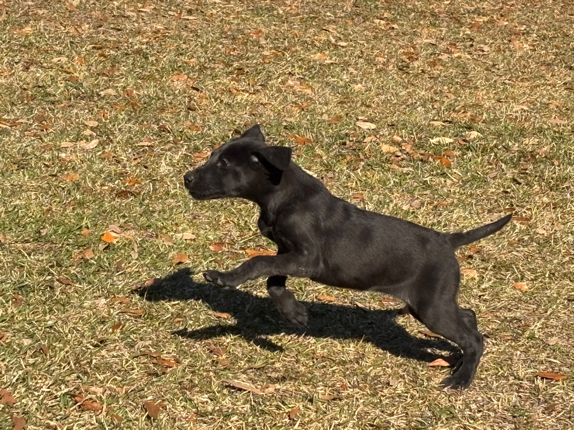 Sadie 25 photo 2