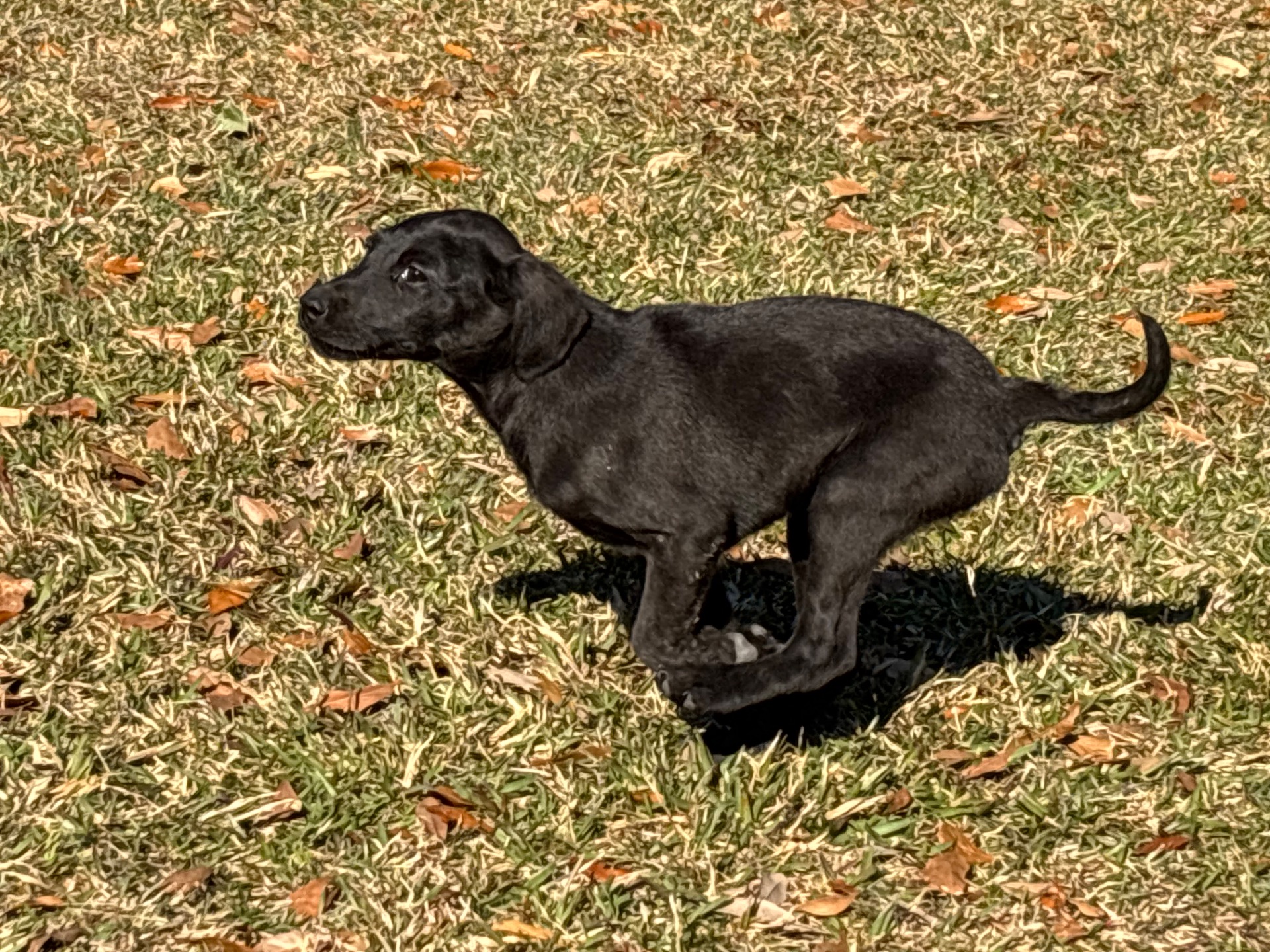 Sadie 25 photo 3