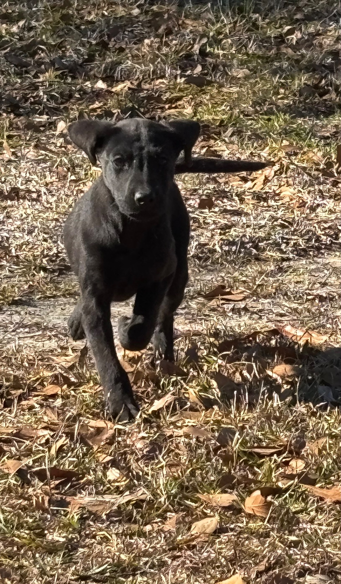 Sadie 25 photo 4