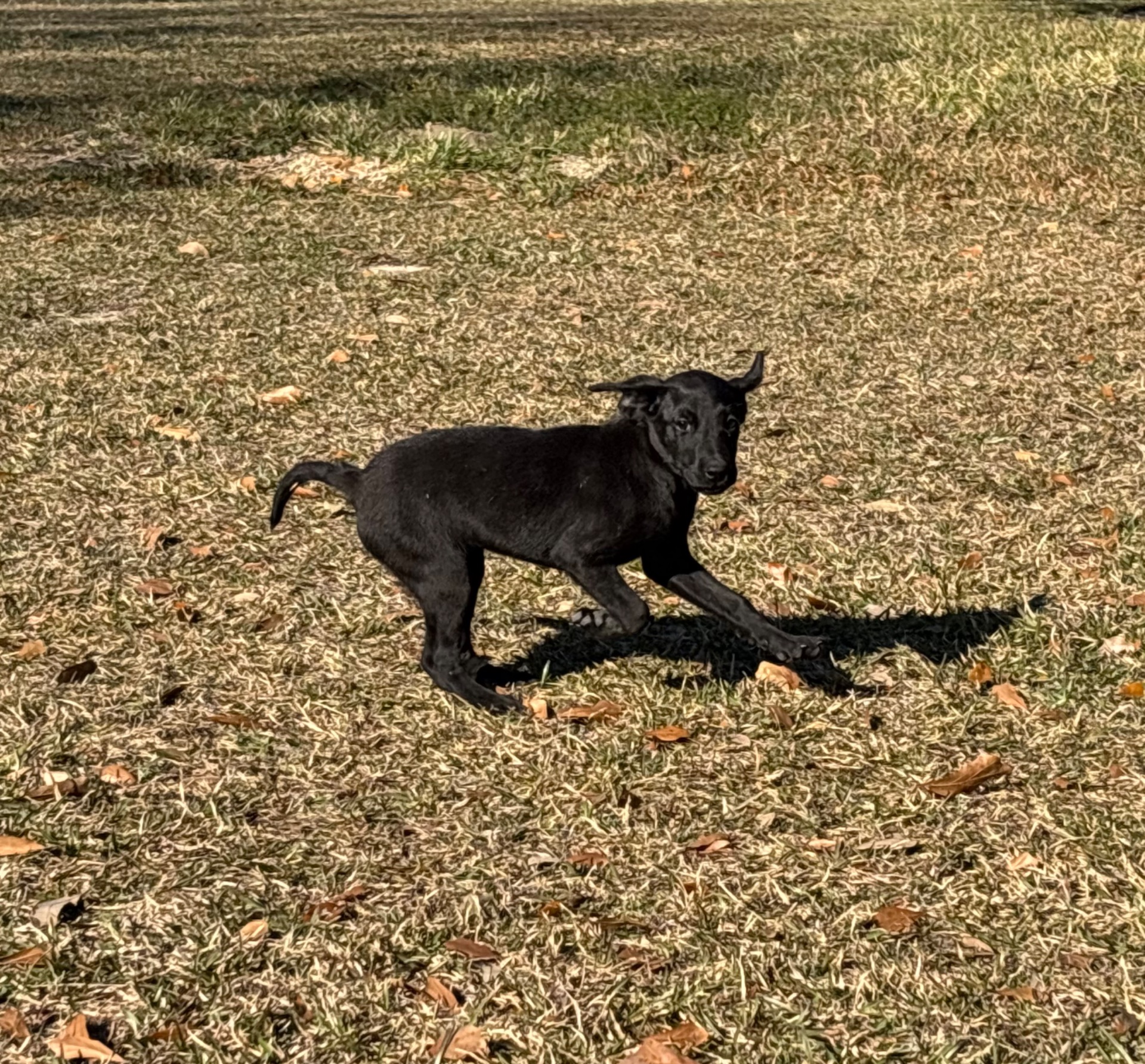 Sadie 25 photo 5