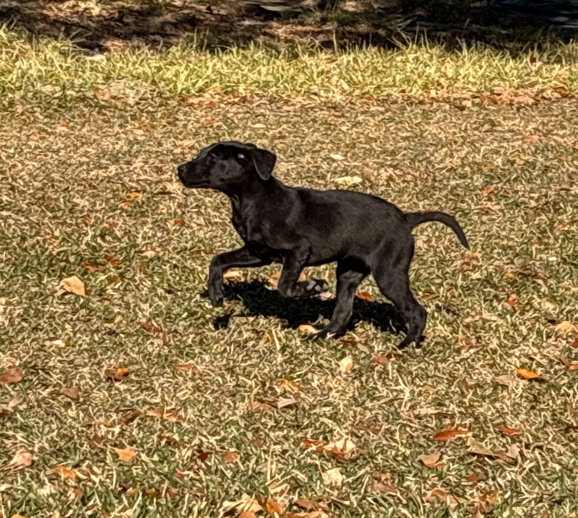 Sadie 25 photo 6