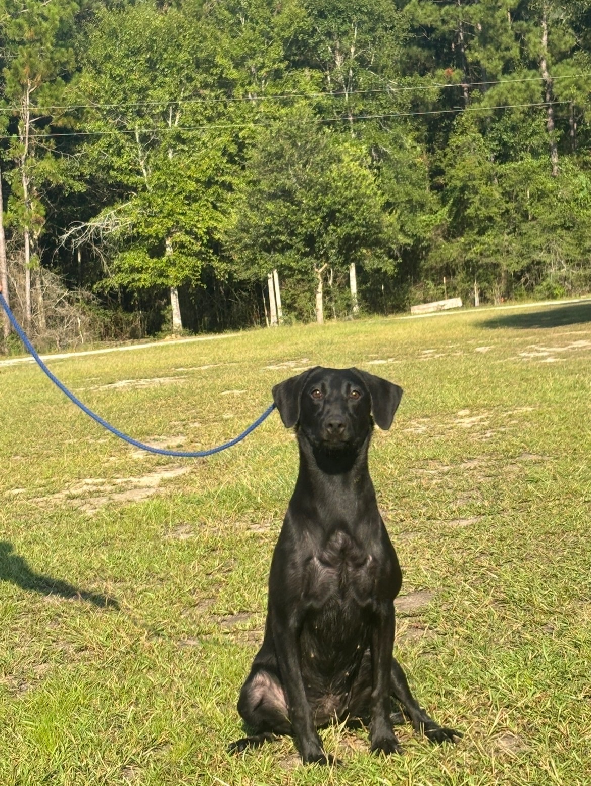 Sadie 25 photo 8