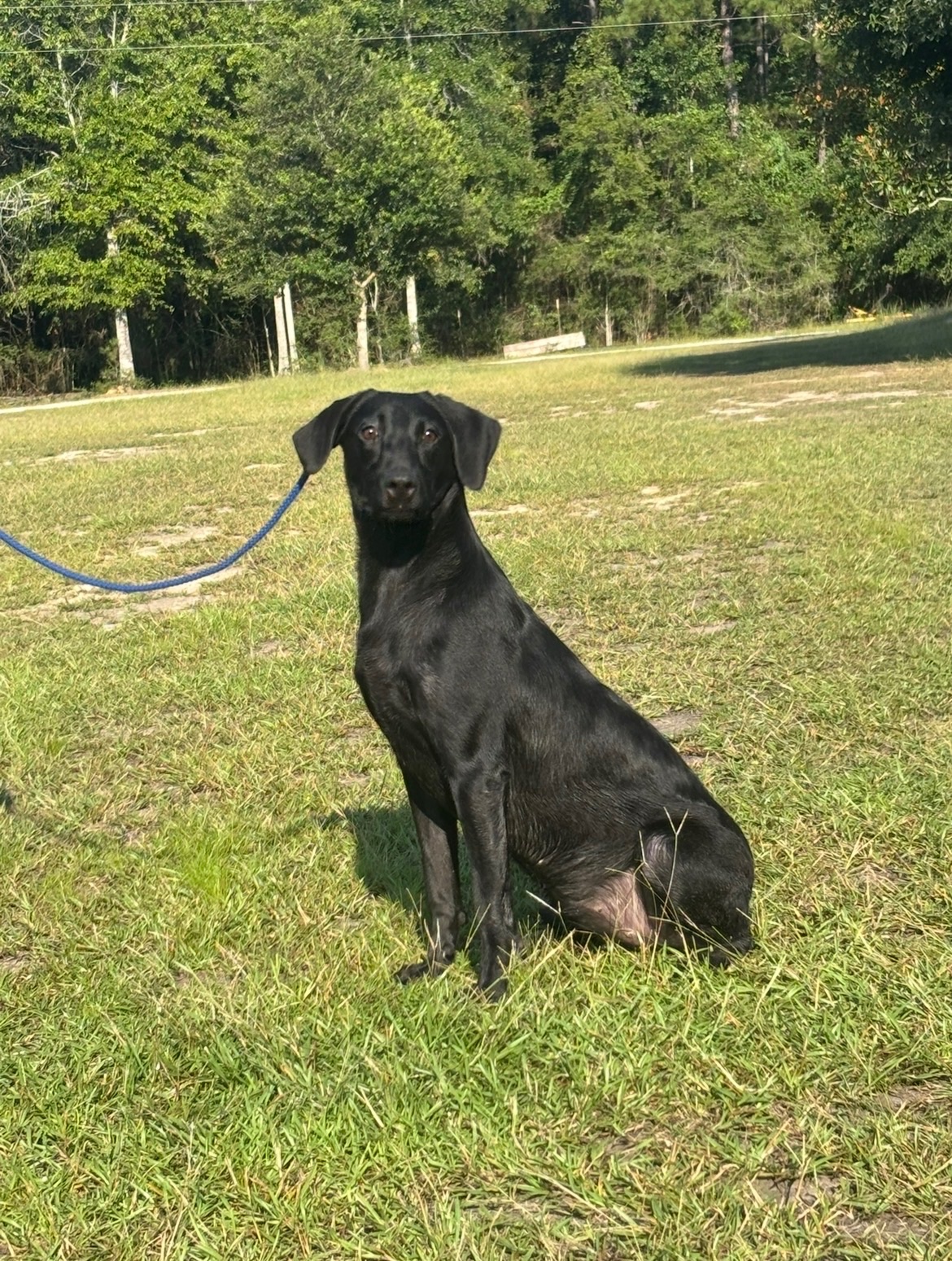 Sadie 25 photo 9