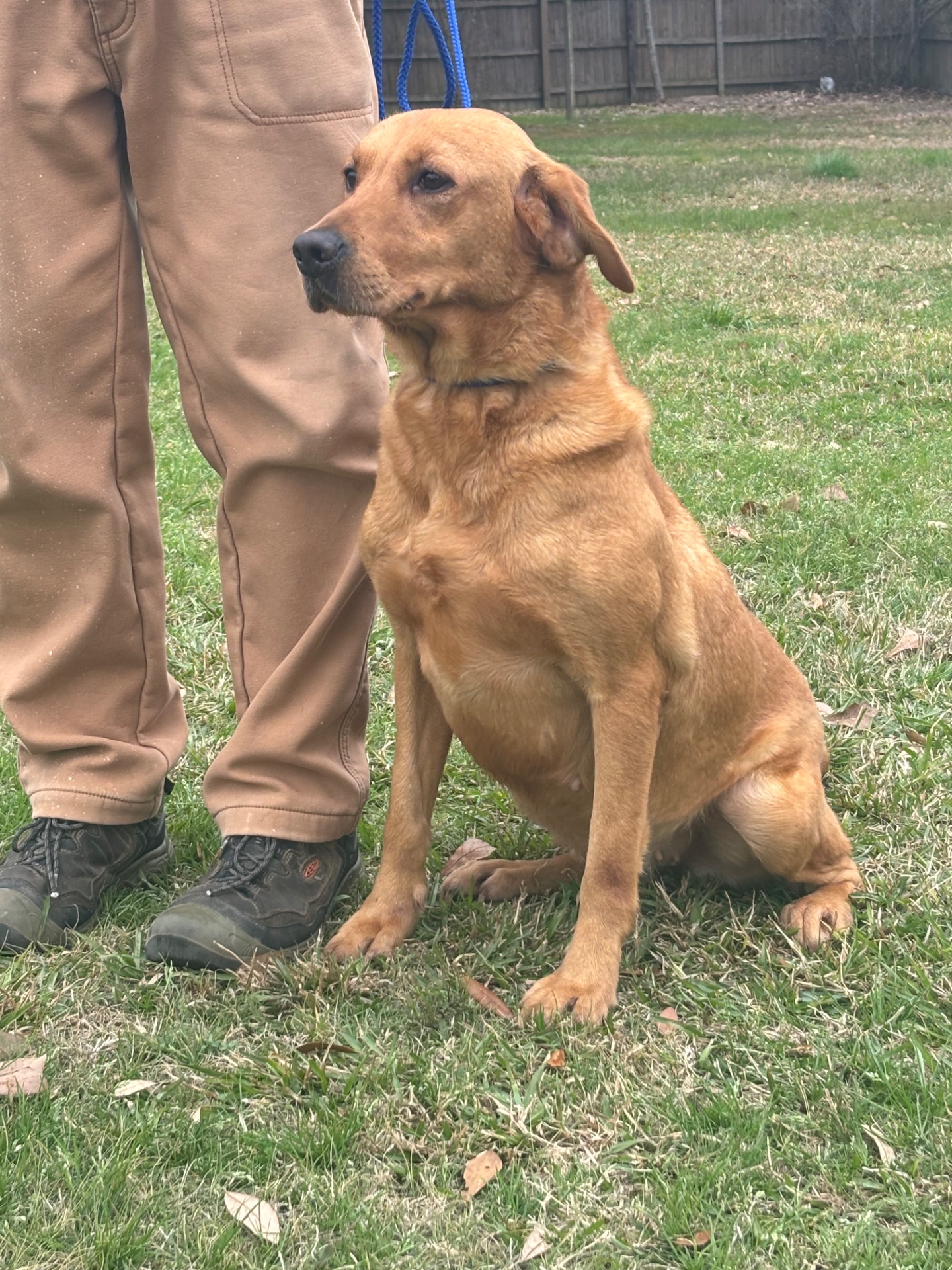 Amber I "Liskoney Cloudsky"