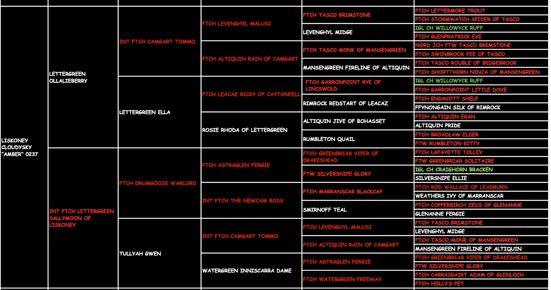 Amber I "Liskoney Cloudsky" pedigree