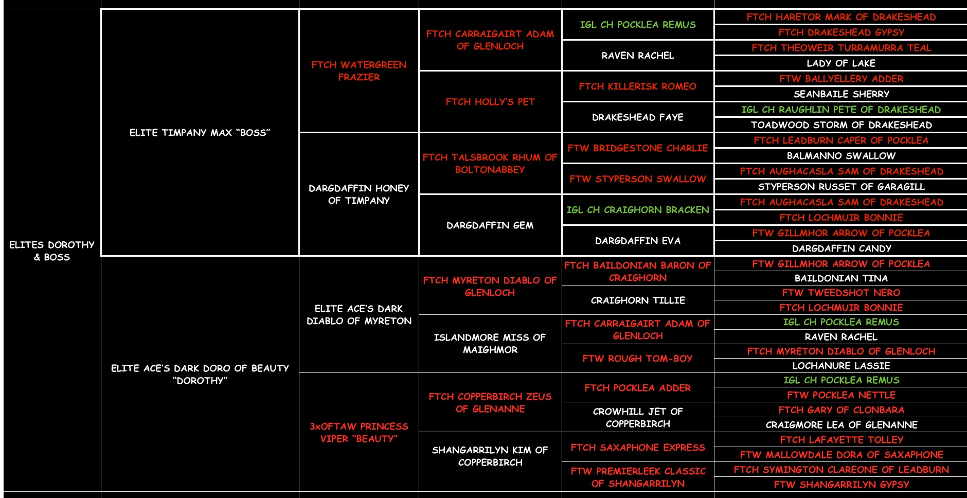 Choctaw "ACES CHOCTAW OF THE BLUFF" pedigree