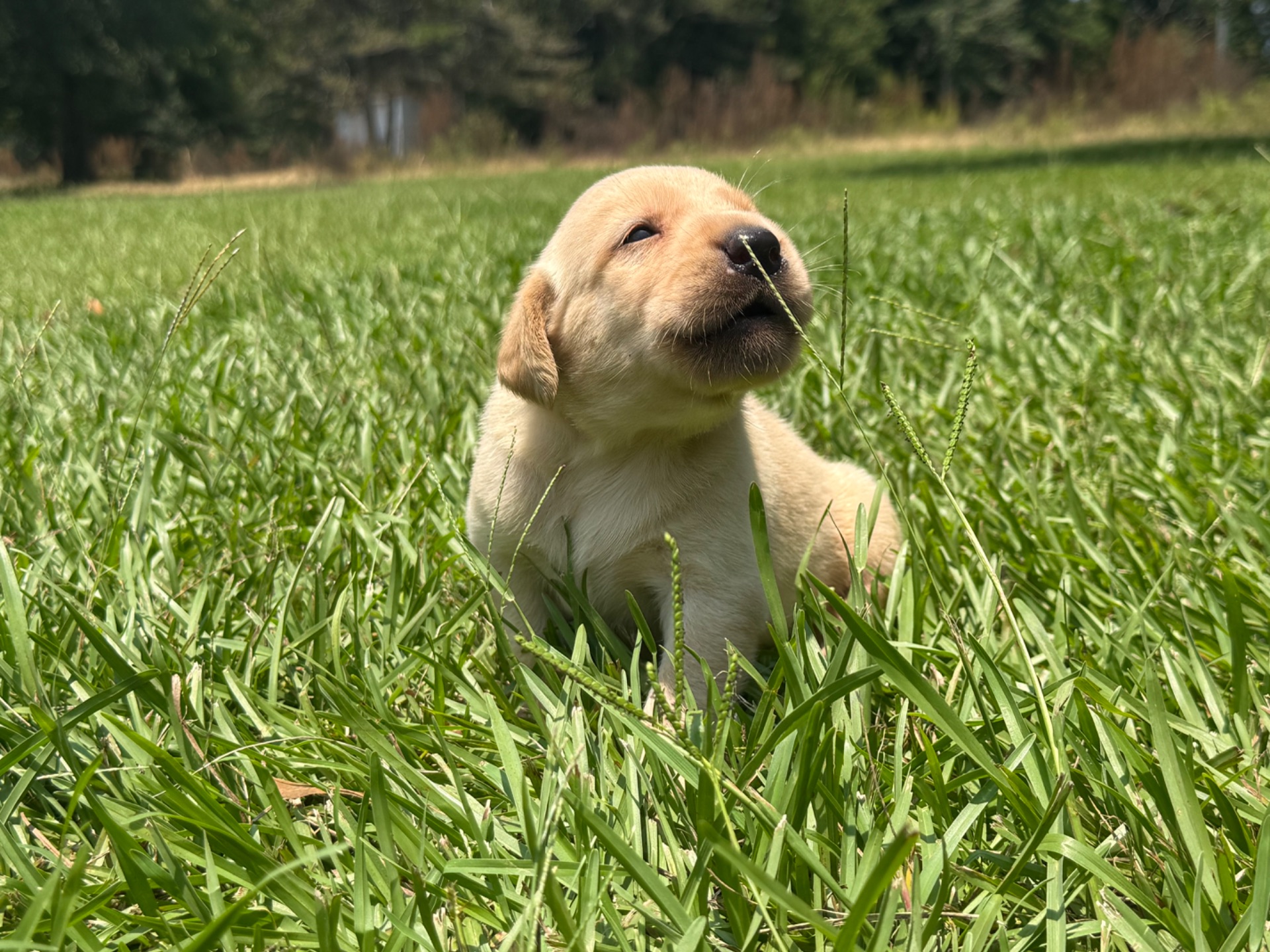 Marley 26 photo 6