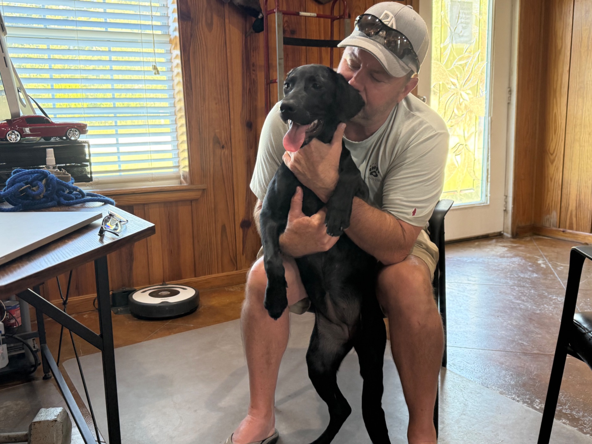 Bella Hall, Labrador Retriever