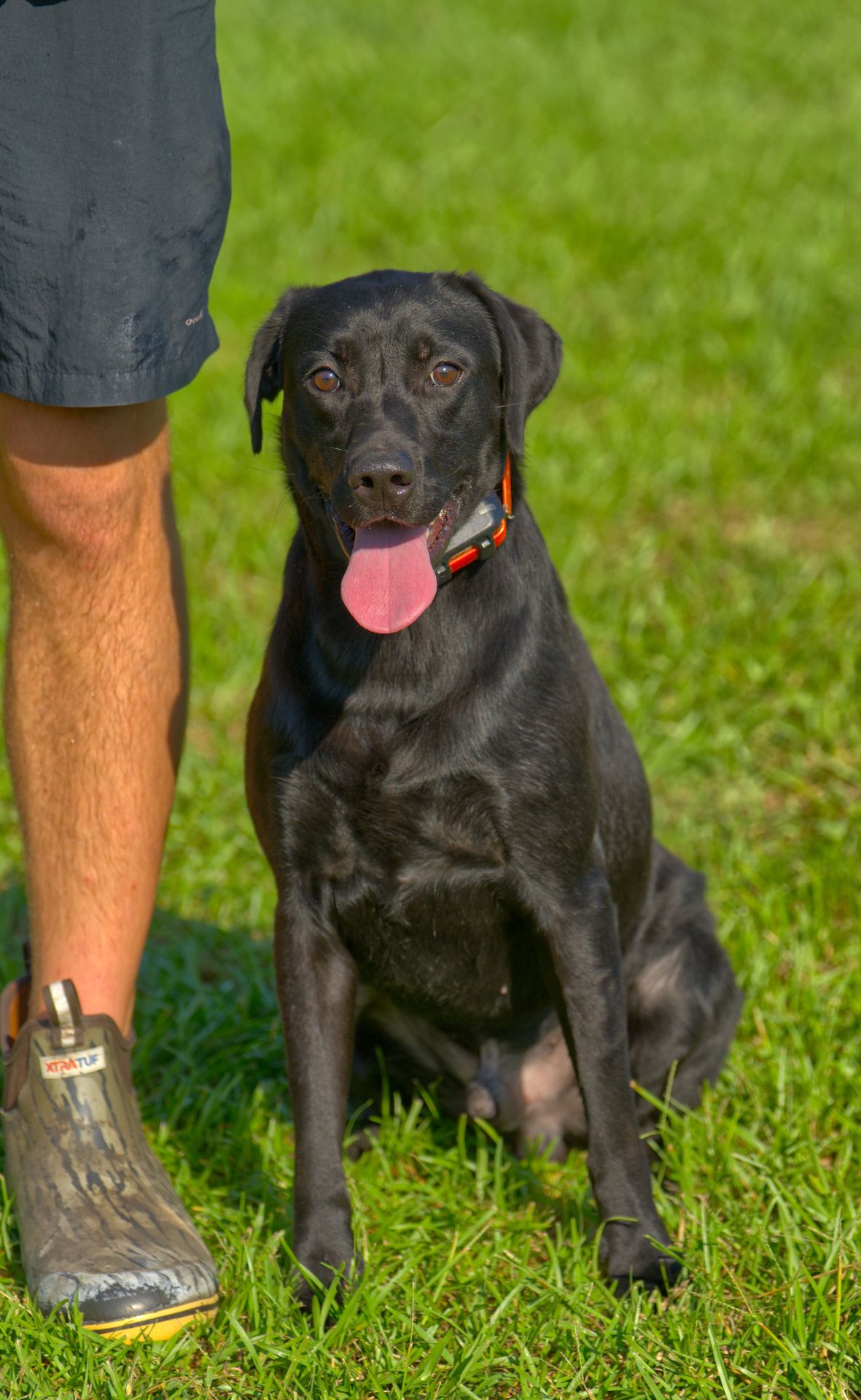 Ember 25 photo 2
