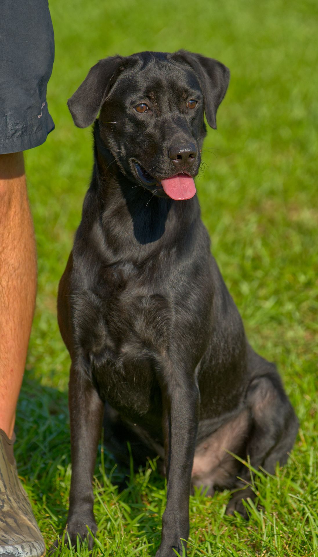 Ember 25 photo 3