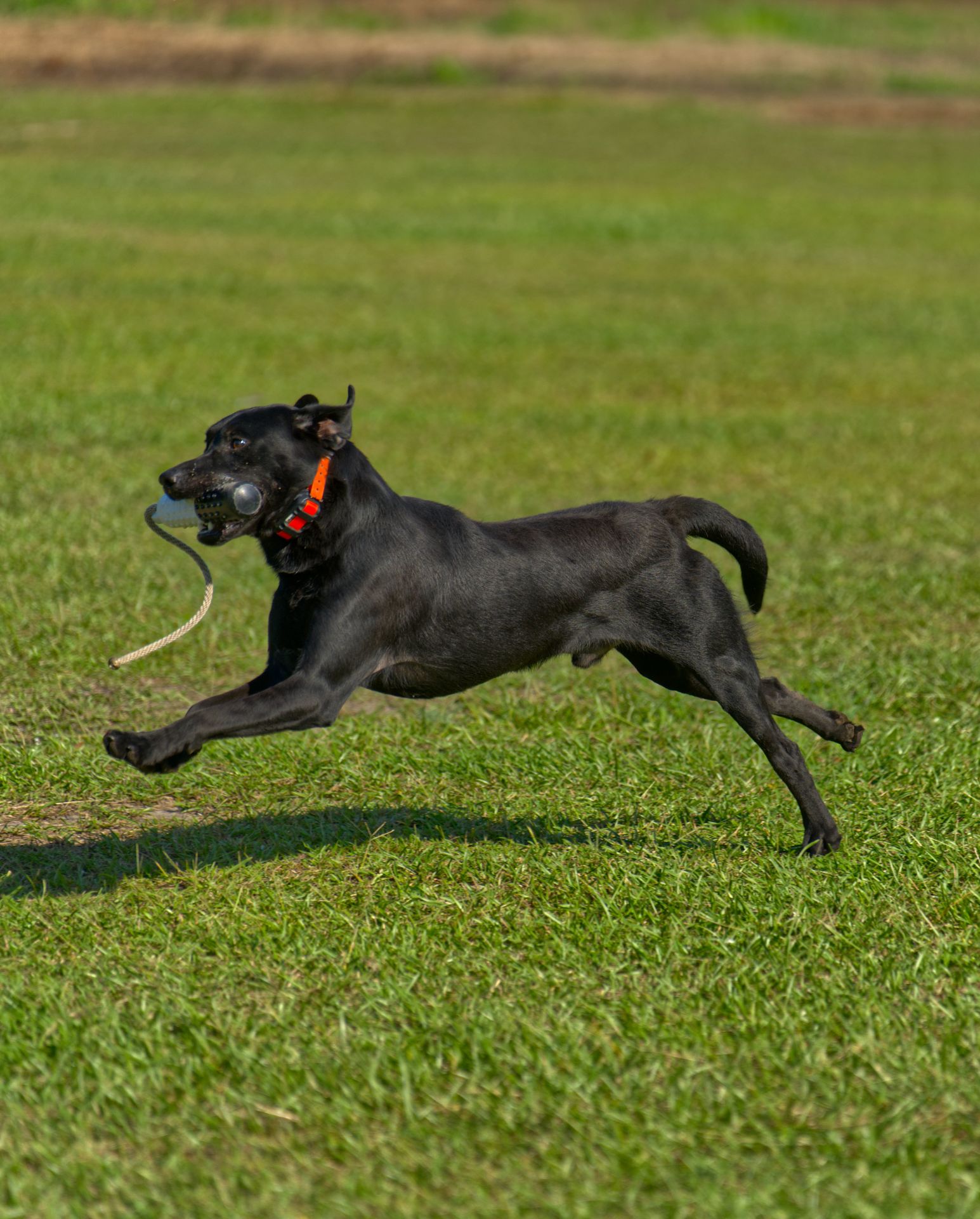 Ember 25 photo 4
