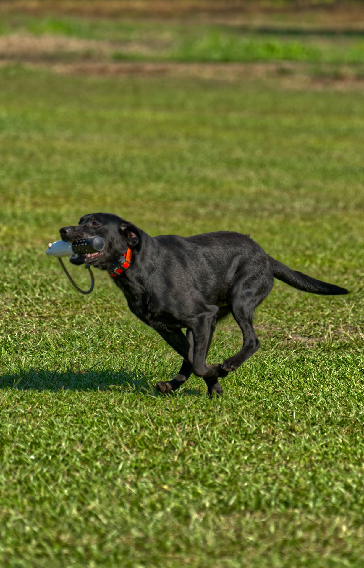 Ember 25 photo 5