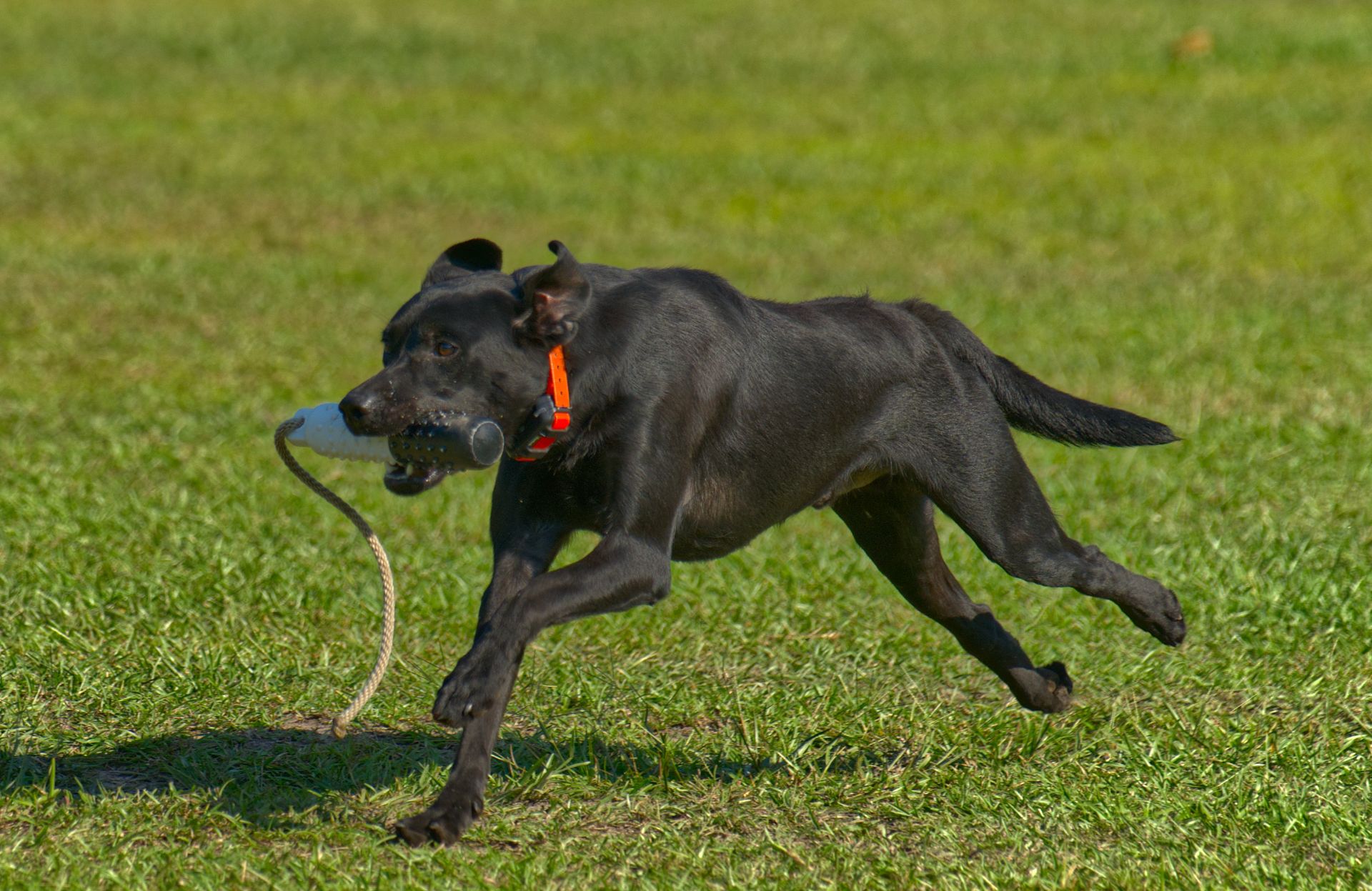 Ember 25 photo 9