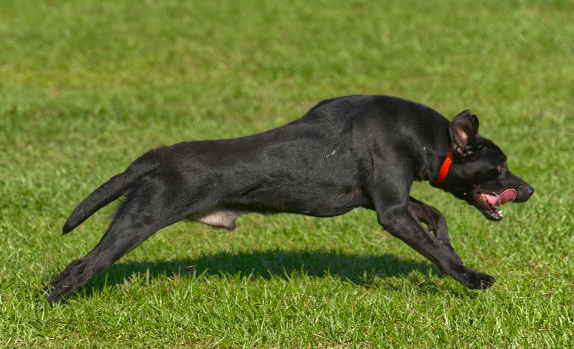 Ember 25 photo 7
