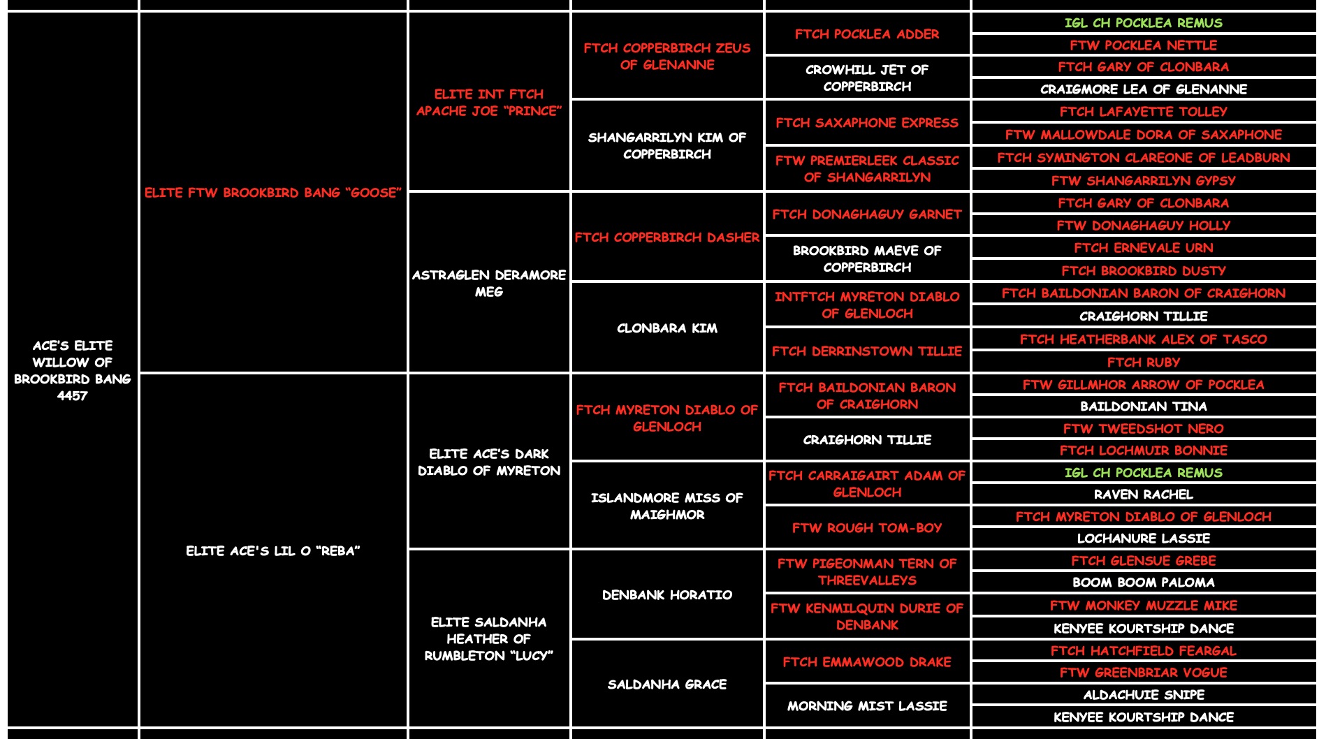 Willow "ace's Elite Willow Of Brookbird Bang" pedigree