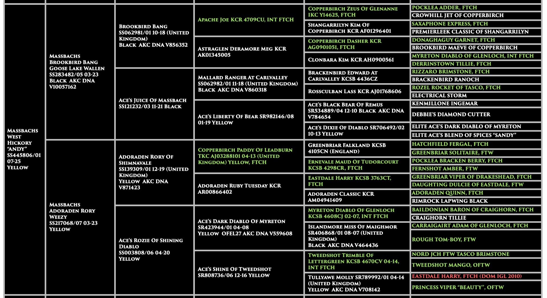 Andy - Massbachs West Hickory Pedigree
