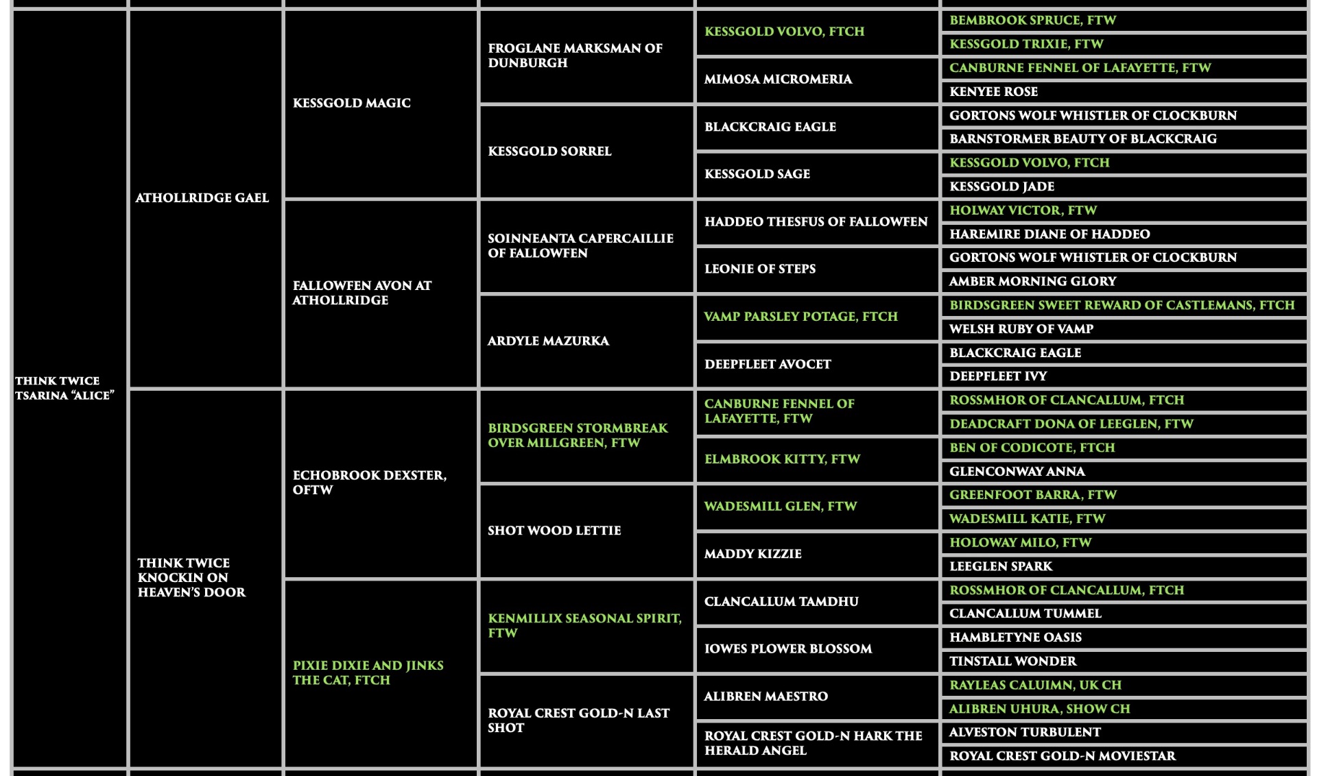 Alice -  Think Twice Tsarina Pedigree