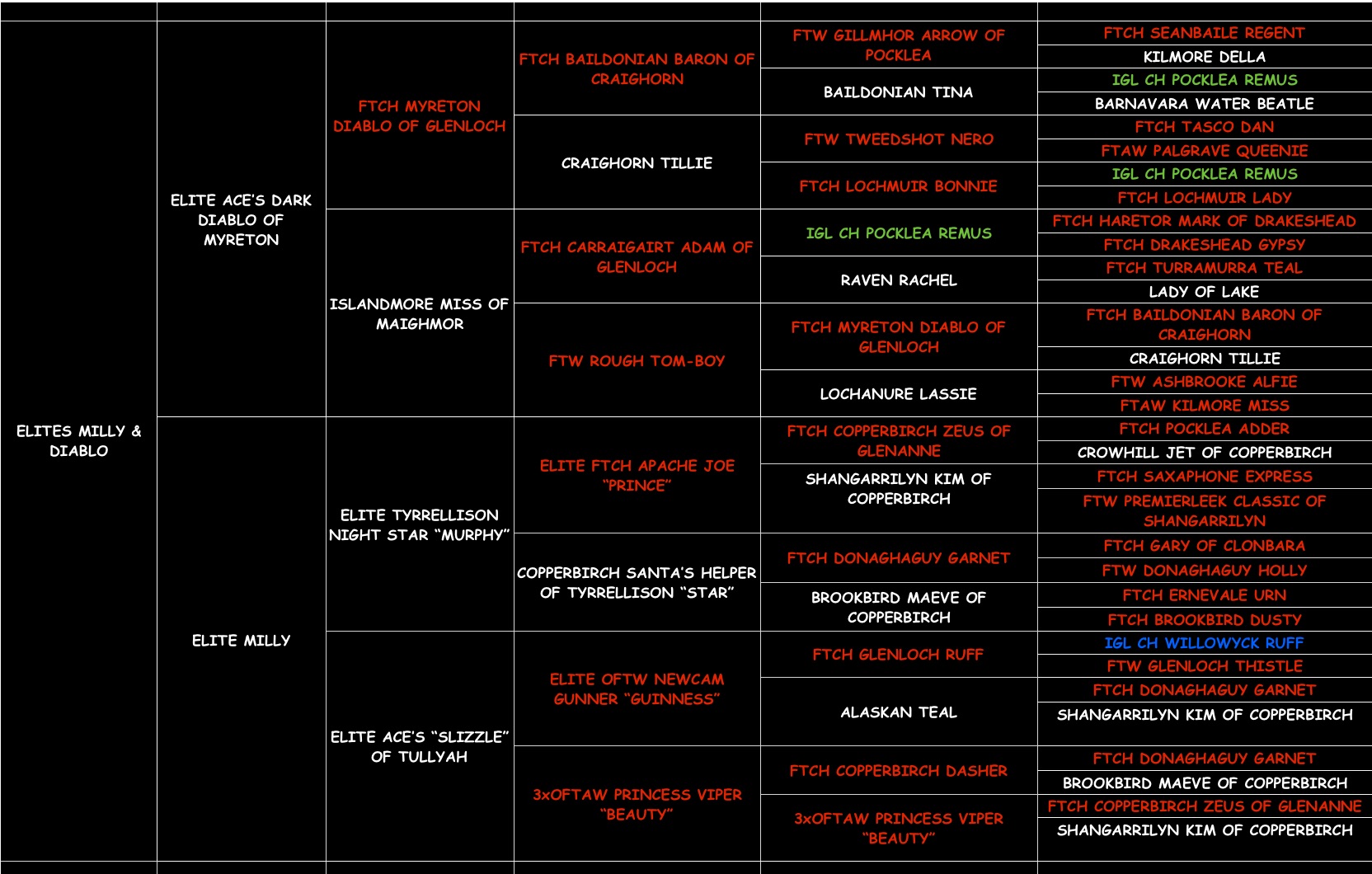 Tillie 'ELITE ACES TILLIE OF DIABLO" pedigree