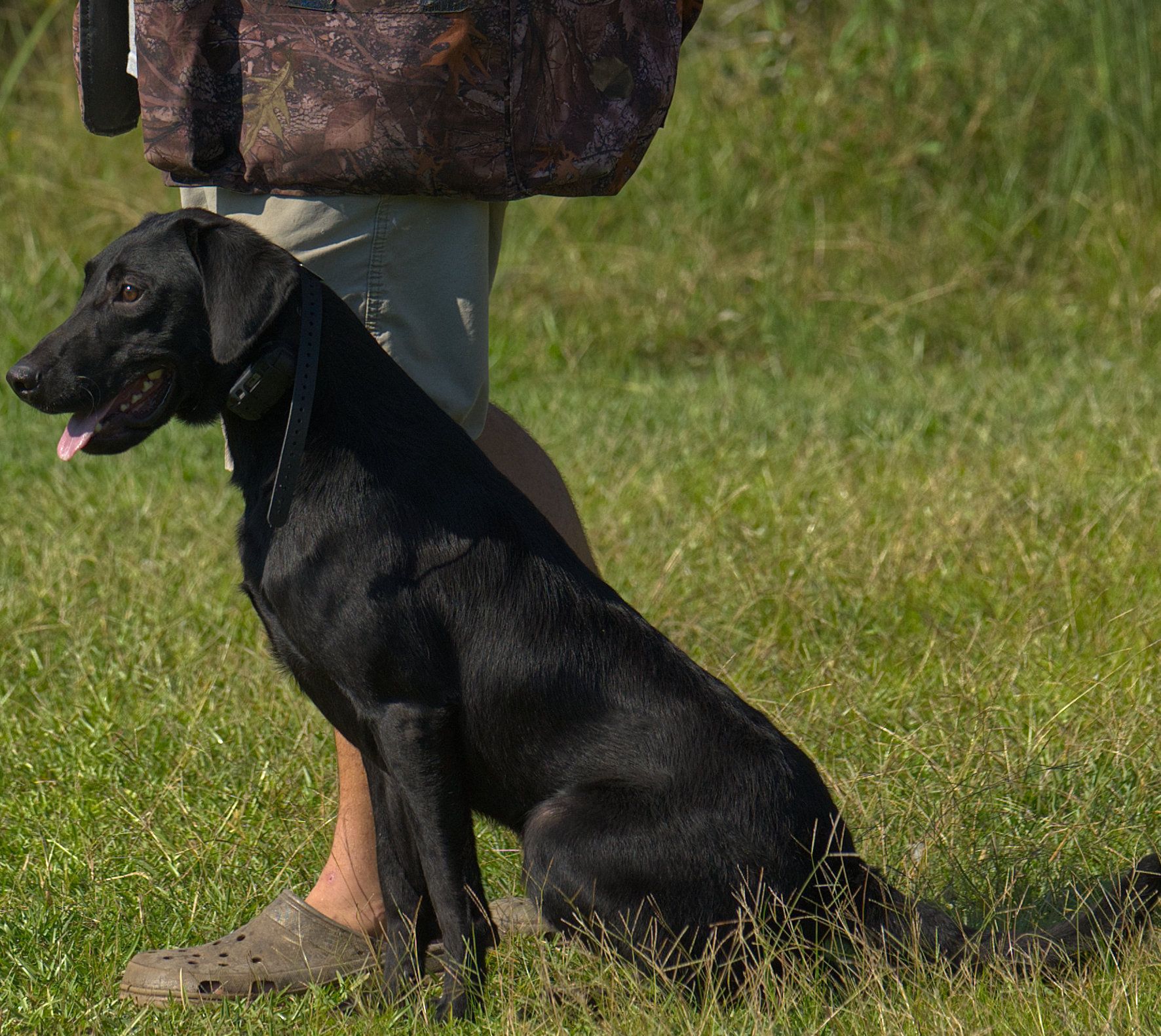 Bolt 25 photo 5