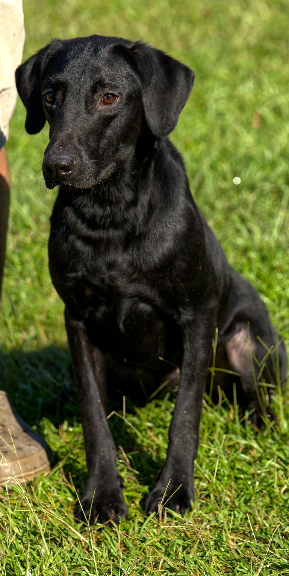 Bolt 25 photo 6