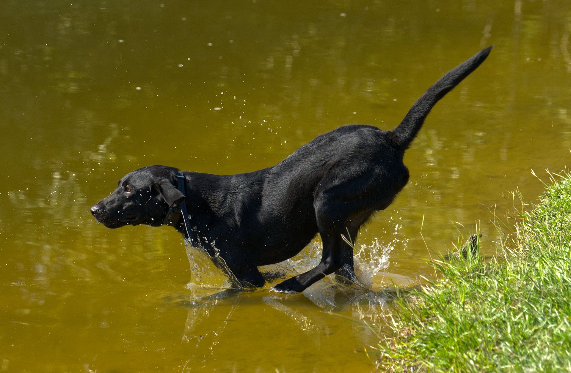 Bolt 25 photo 7