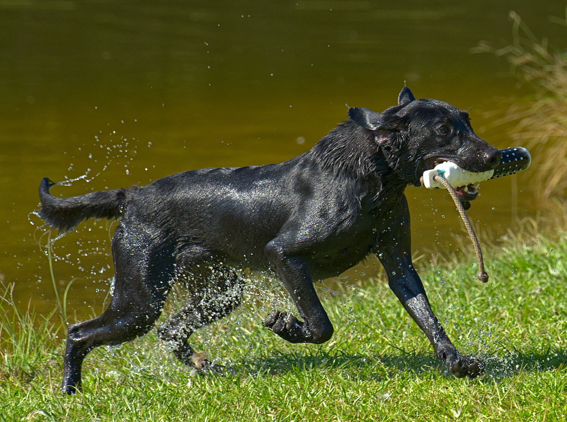 Bolt 25 photo 10