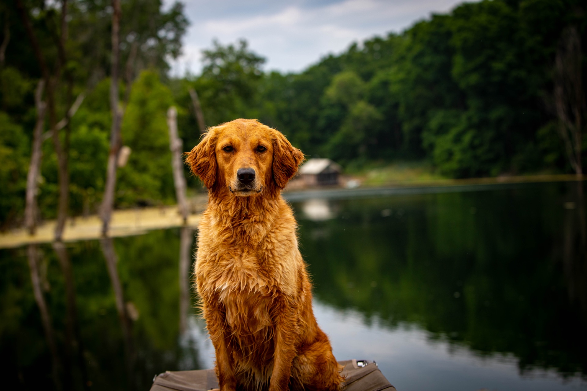 Lou - Think Twice Ultras