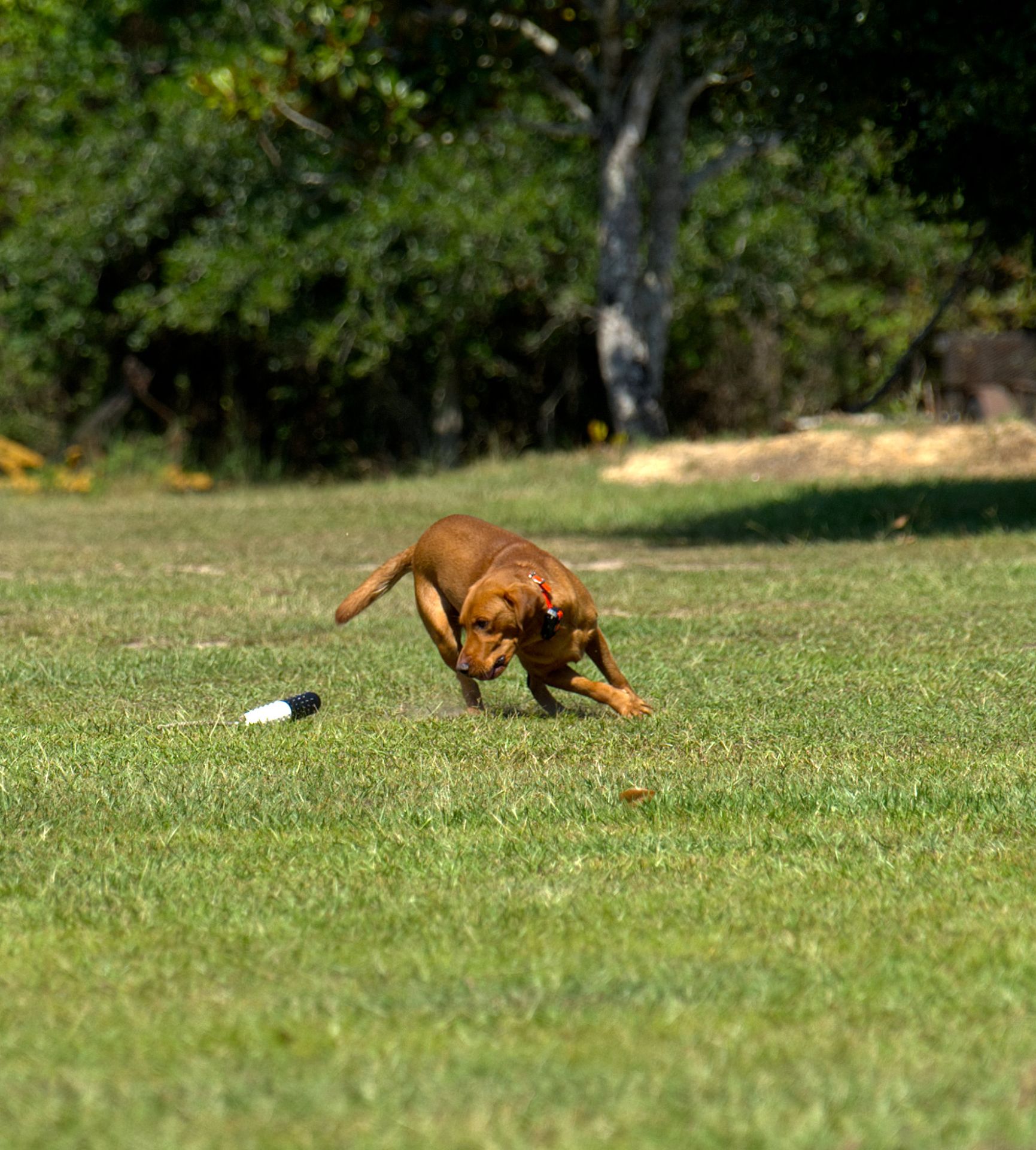 Hux photo 3