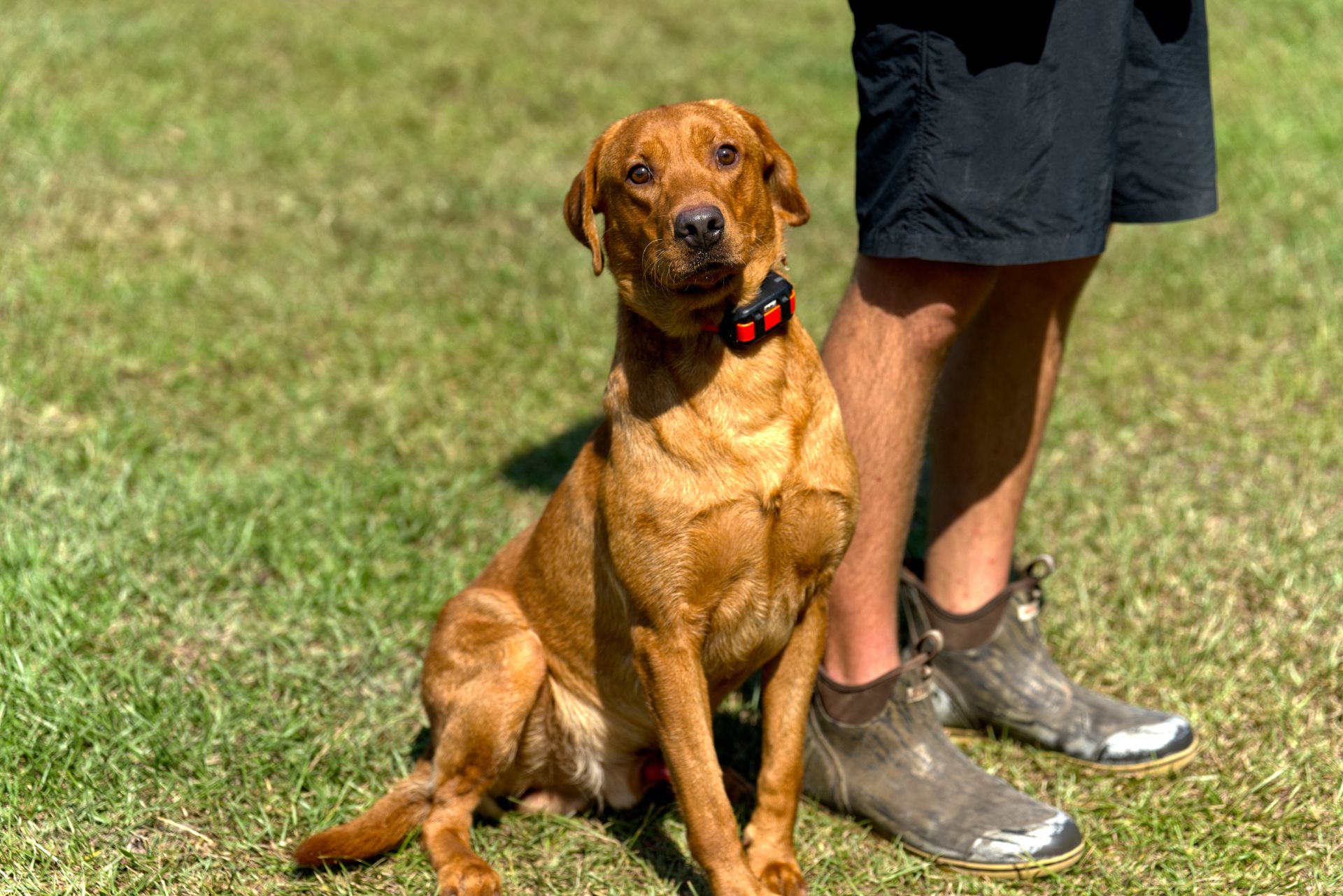 Hux photo 4