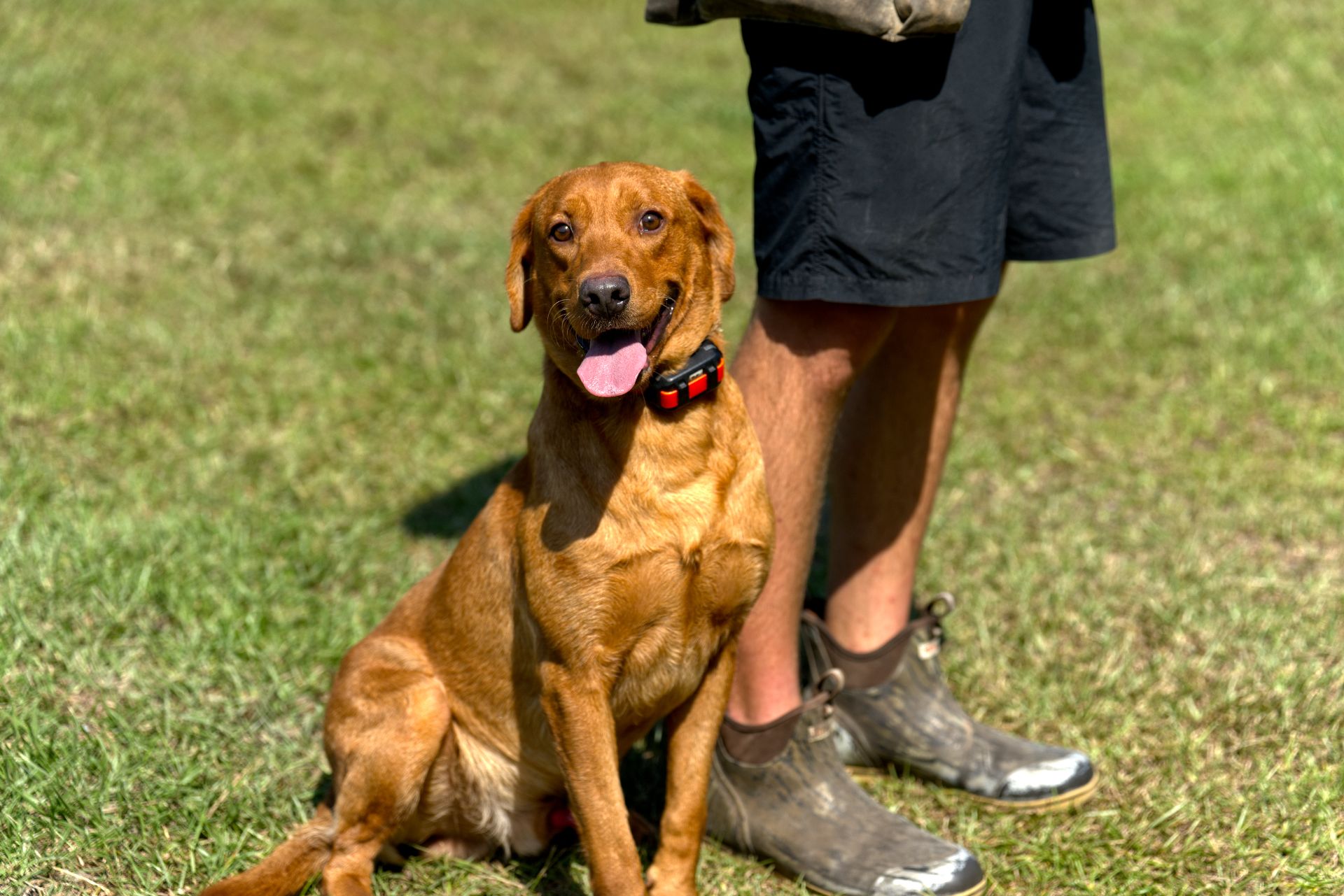 Hux photo 5