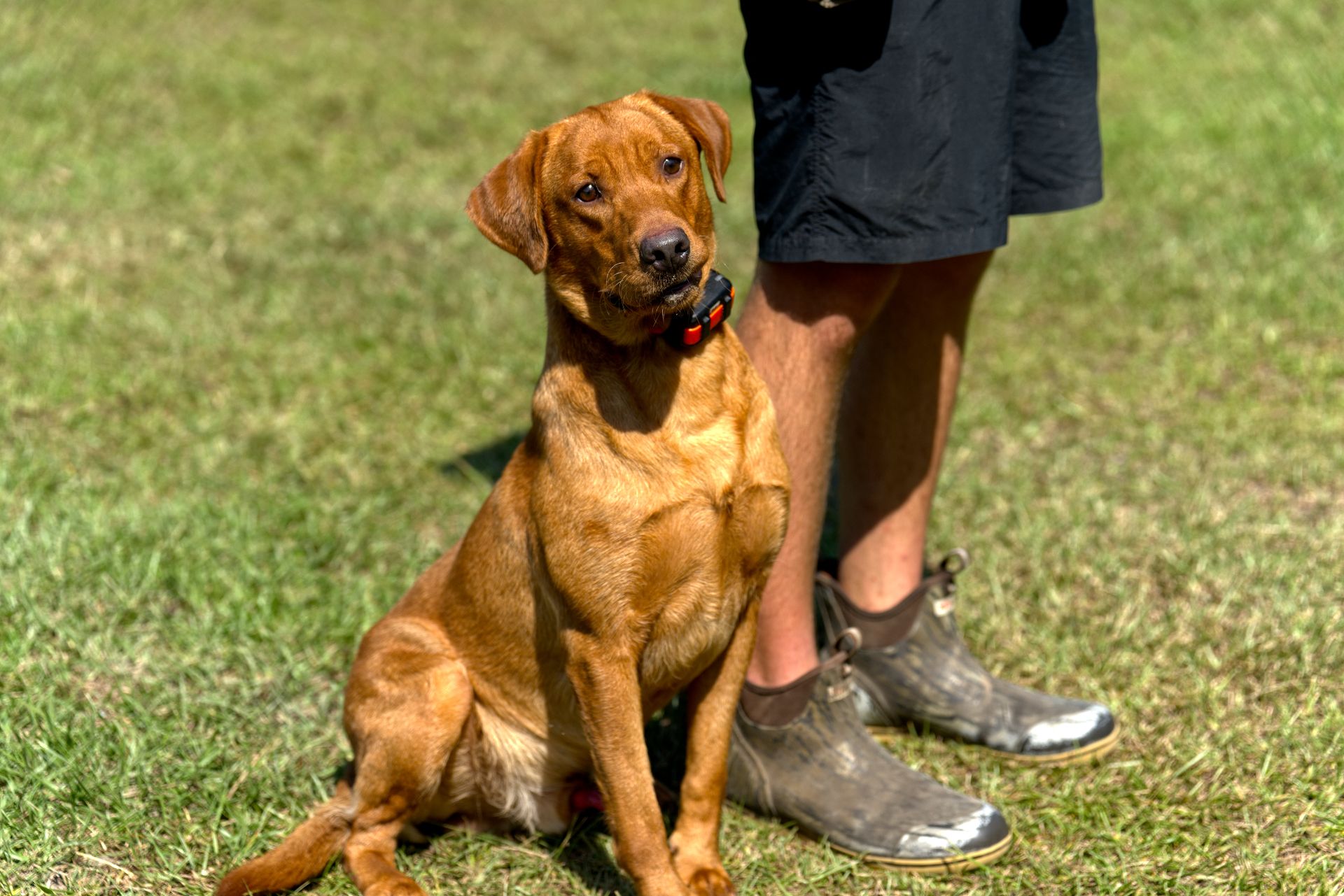 Hux photo 6
