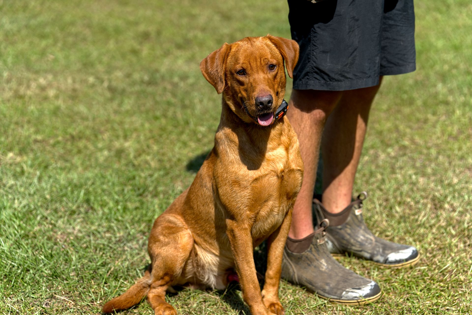 Hux photo 7