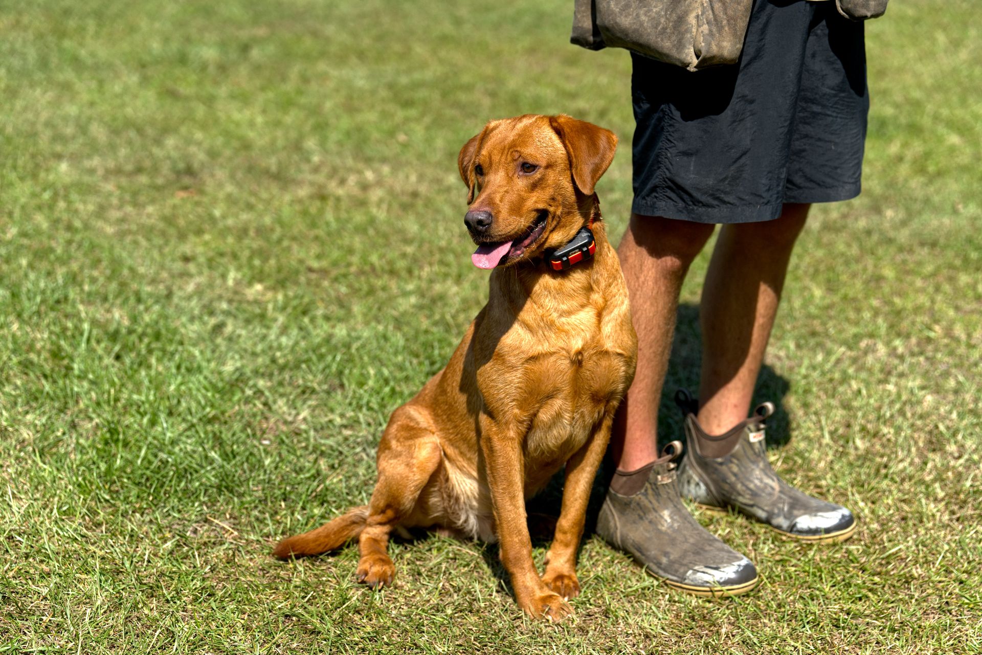 Hux photo 8