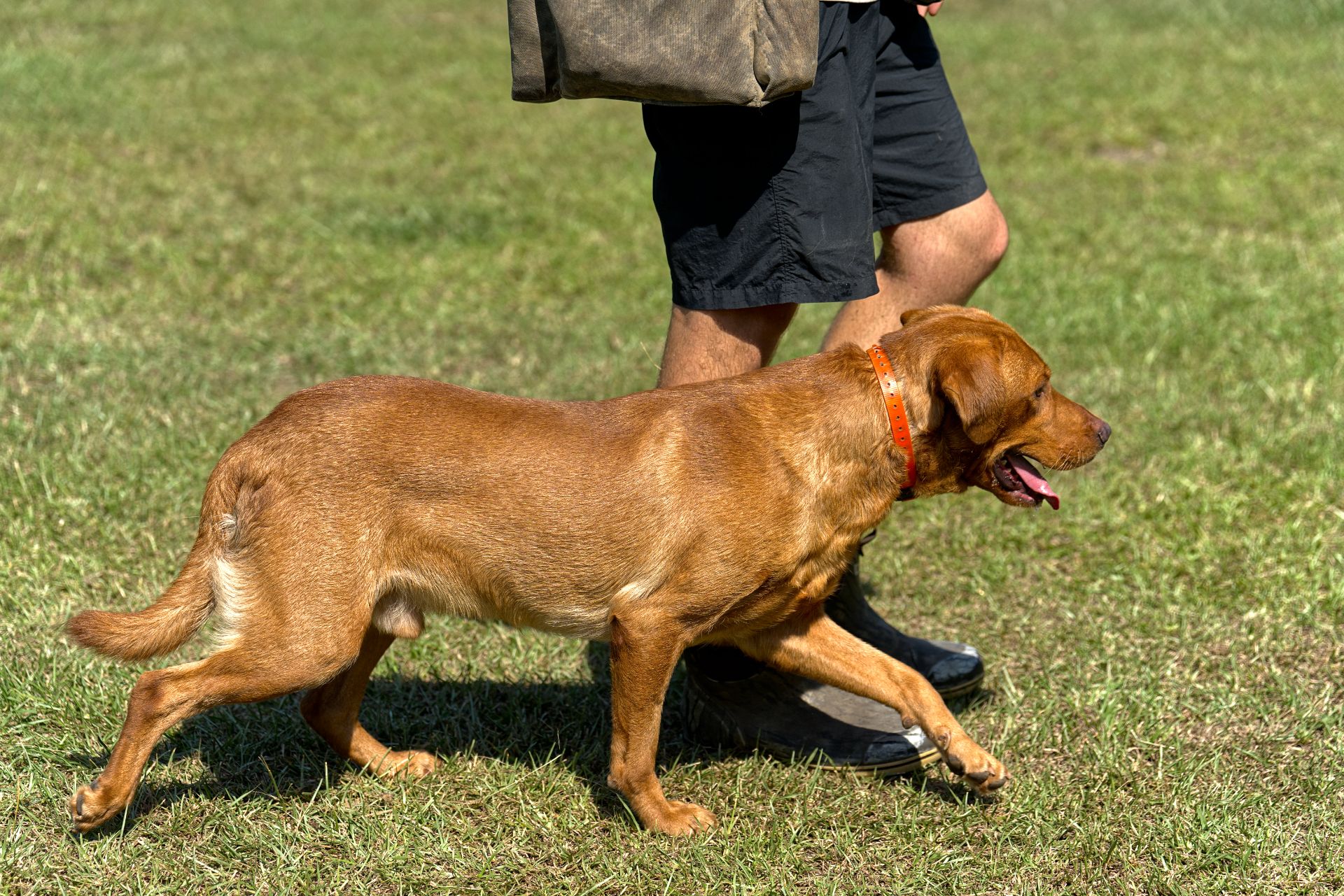 Hux photo 9