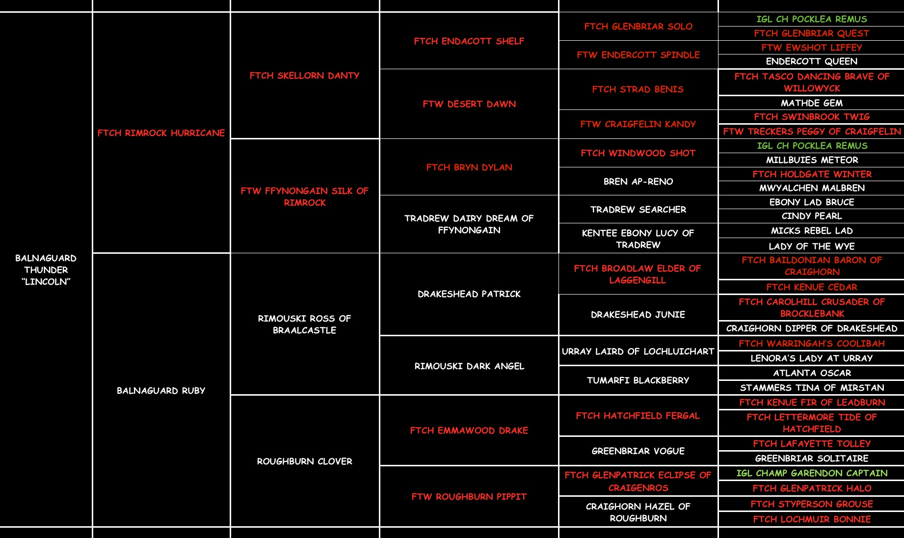Lincoln "ELITE BALNAGUARD THUNDER 'LINCOLN'" pedigree
