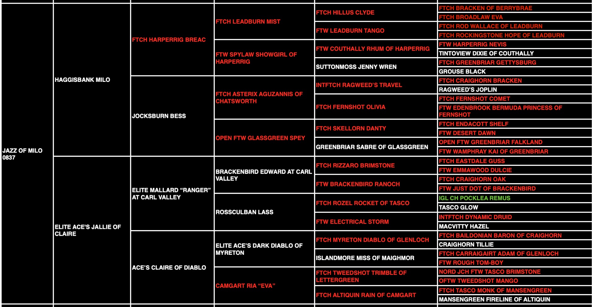 Jazz "Ace's Elite Jazz of Haggisbank" pedigree