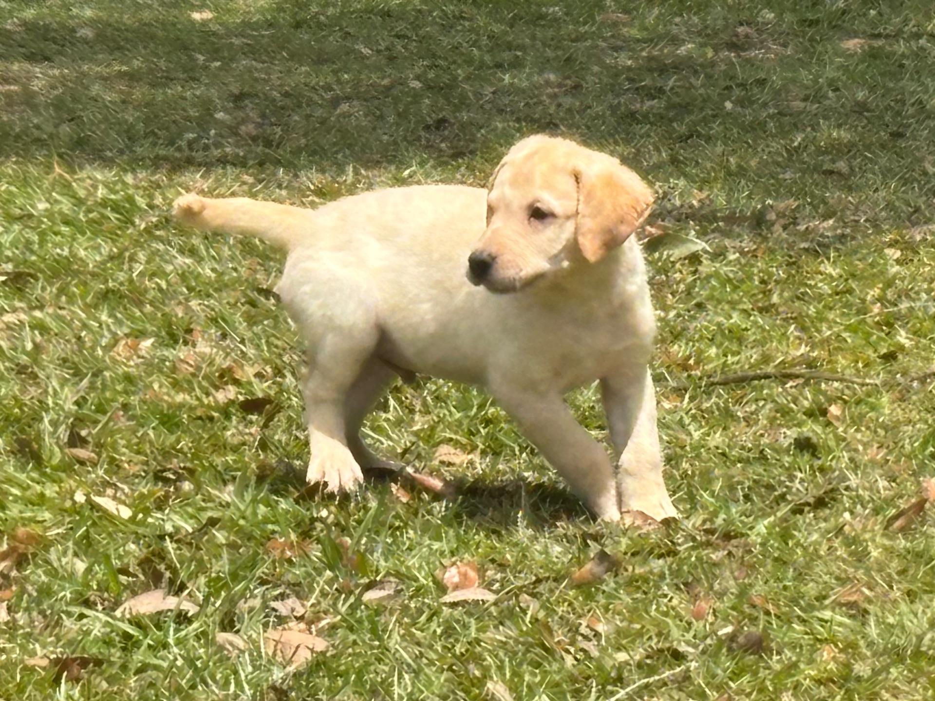 Mateo 26 photo 8