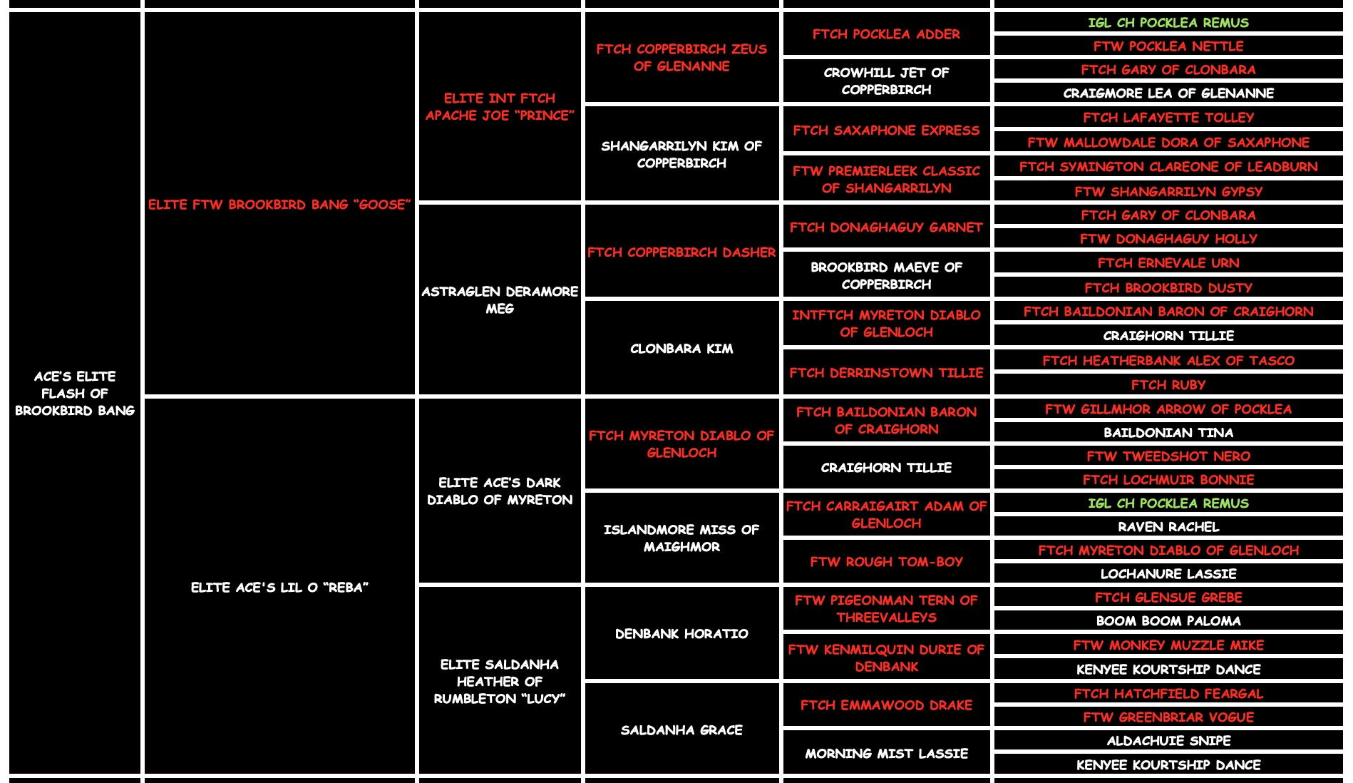 Flash "ace's Flash Of Brookbird Bang" pedigree