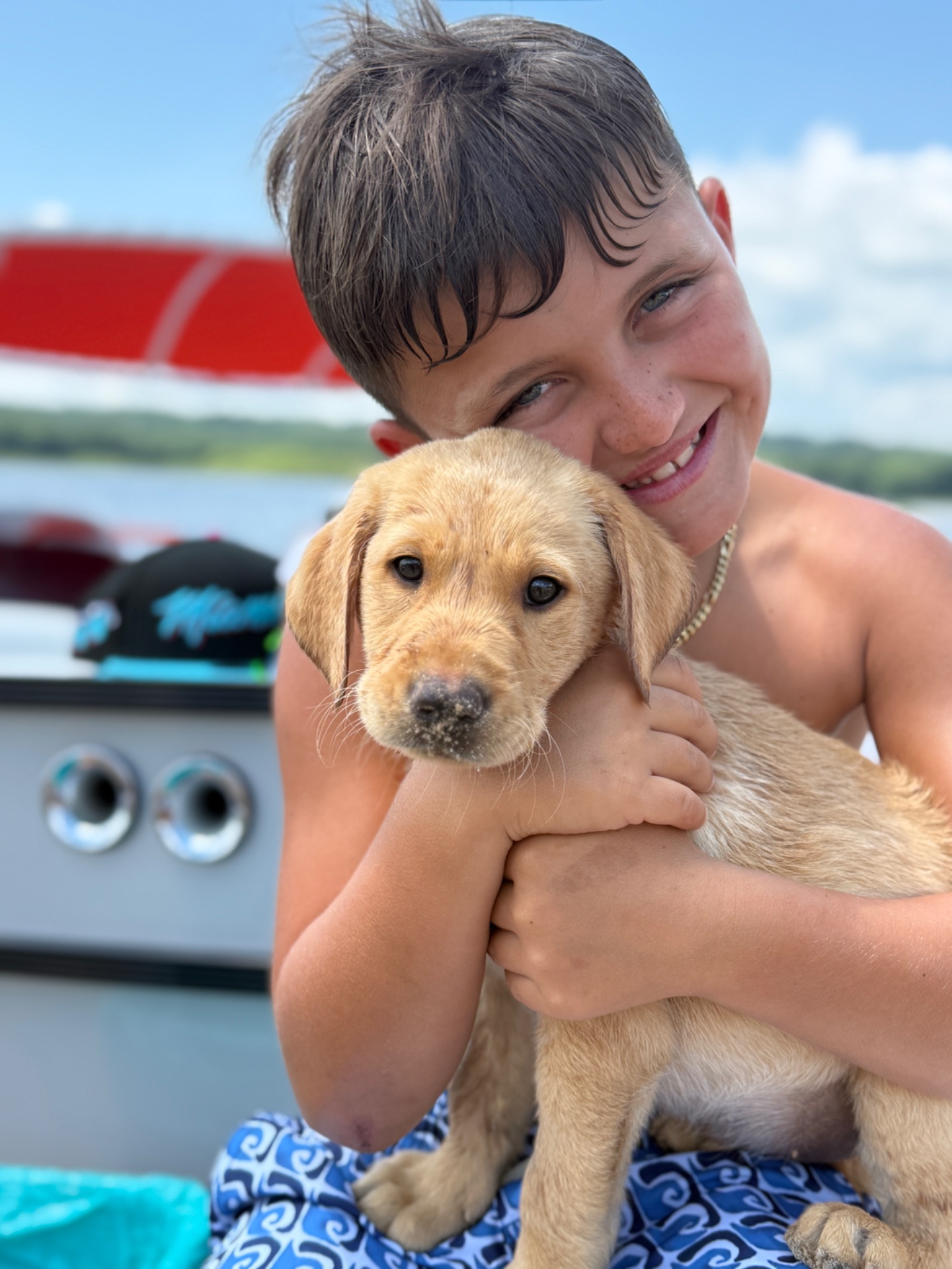Finn (Red Collar)
